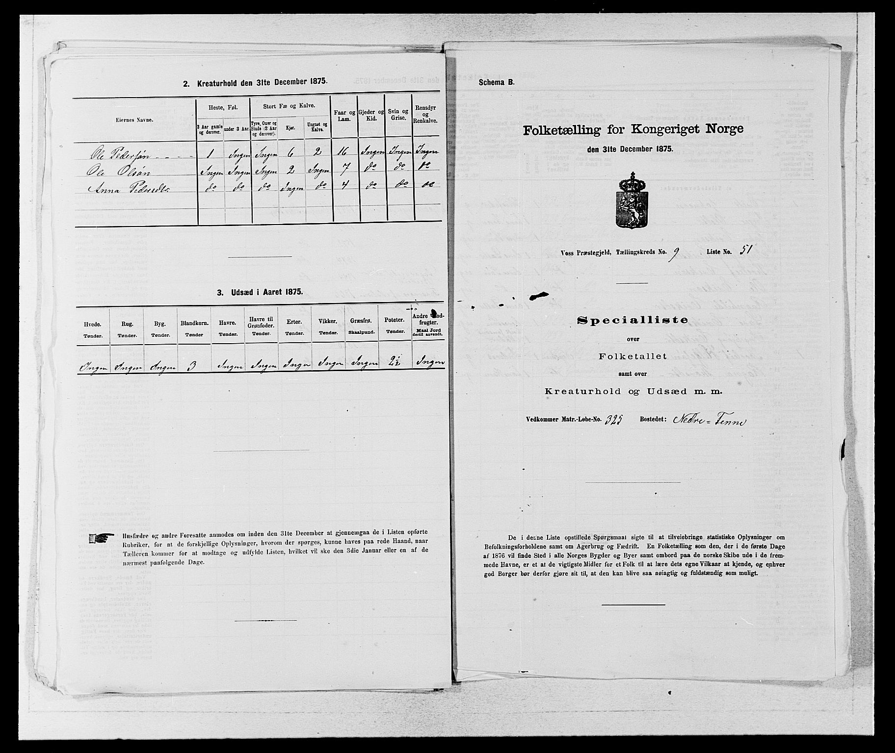 SAB, Folketelling 1875 for 1235P Voss prestegjeld, 1875, s. 1147