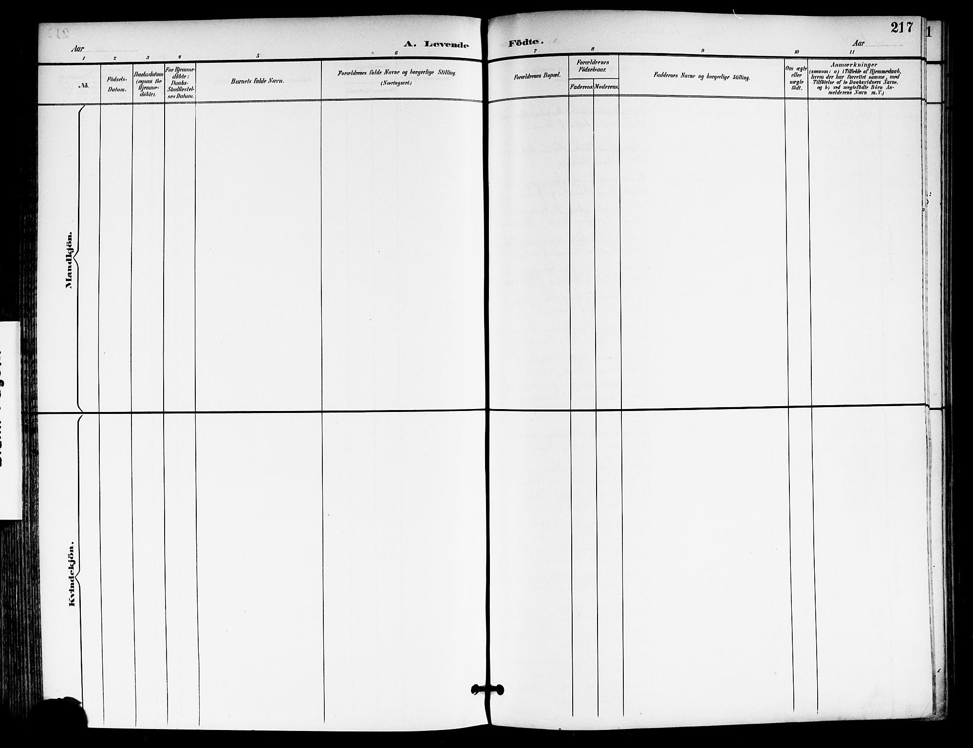 Moss prestekontor Kirkebøker, SAO/A-2003/F/Fb/L0003: Ministerialbok nr. II 3, 1894-1901, s. 217