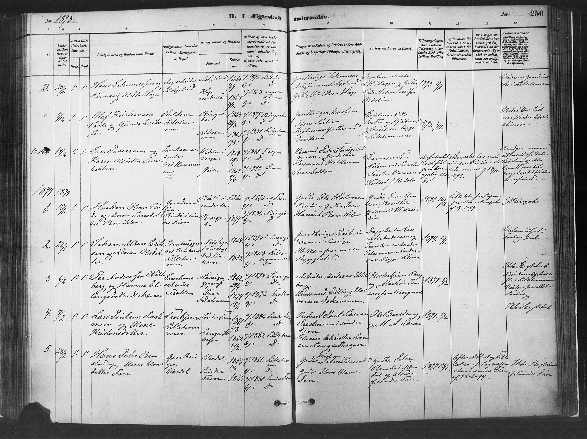 Fåberg prestekontor, AV/SAH-PREST-086/H/Ha/Haa/L0010: Ministerialbok nr. 10, 1879-1900, s. 250
