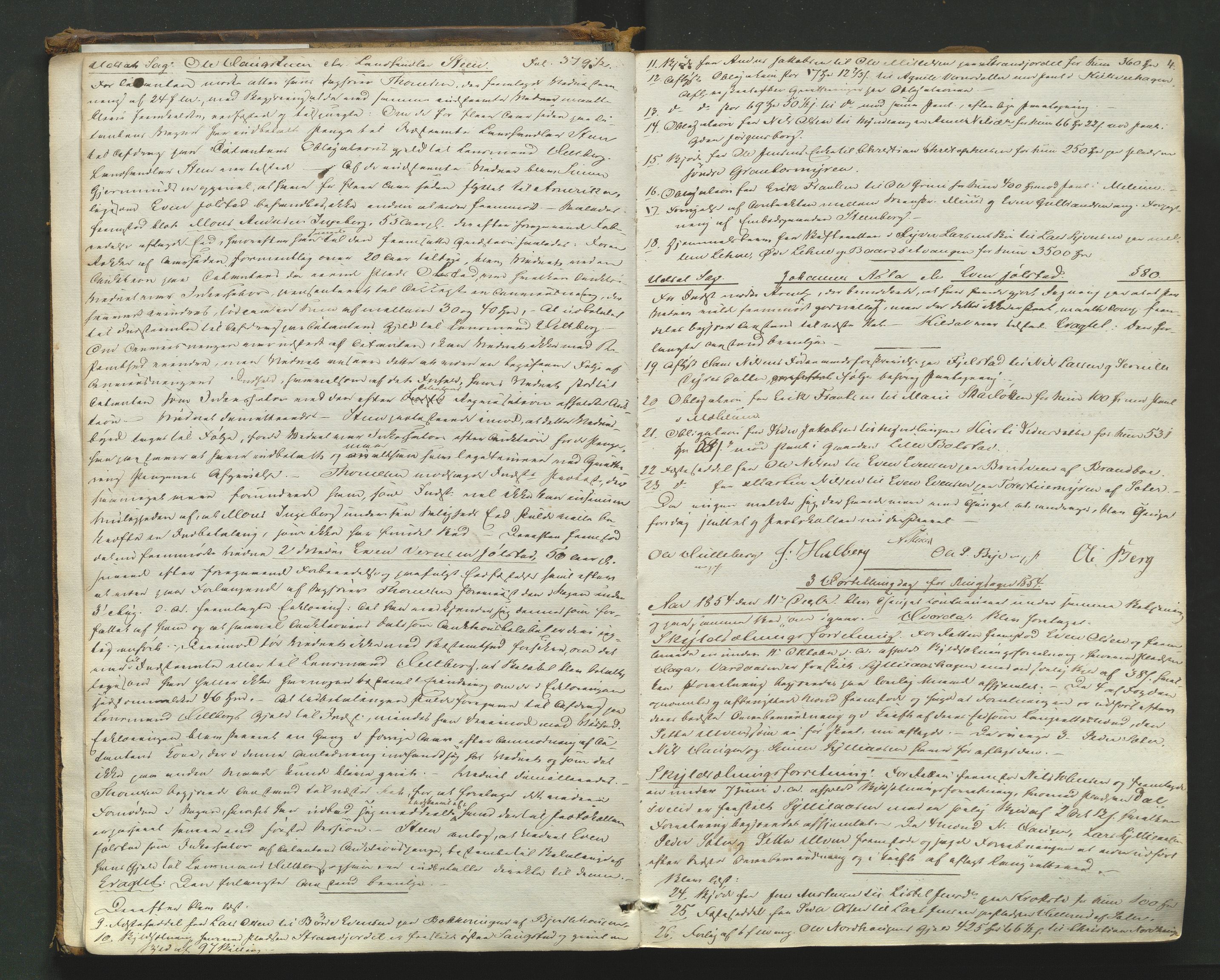 Nord-Hedmark sorenskriveri, AV/SAH-TING-012/G/Gb/L0007: Tingbok, 1854-1862, s. 3b-4a
