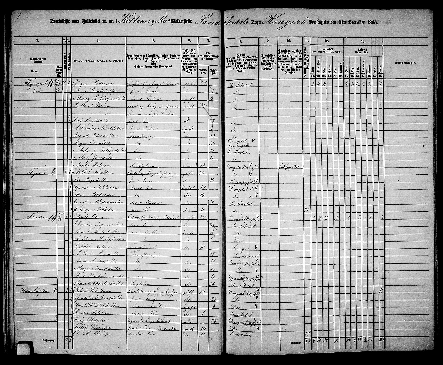 RA, Folketelling 1865 for 0816L Kragerø prestegjeld, Sannidal sokn og Skåtøy sokn, 1865, s. 26