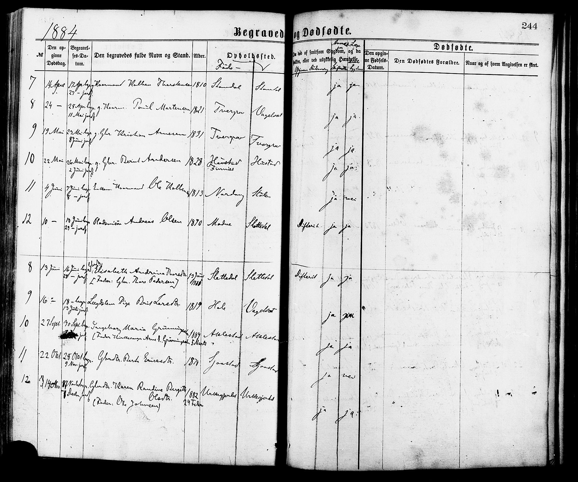 Ministerialprotokoller, klokkerbøker og fødselsregistre - Møre og Romsdal, AV/SAT-A-1454/515/L0210: Ministerialbok nr. 515A06, 1868-1885, s. 244