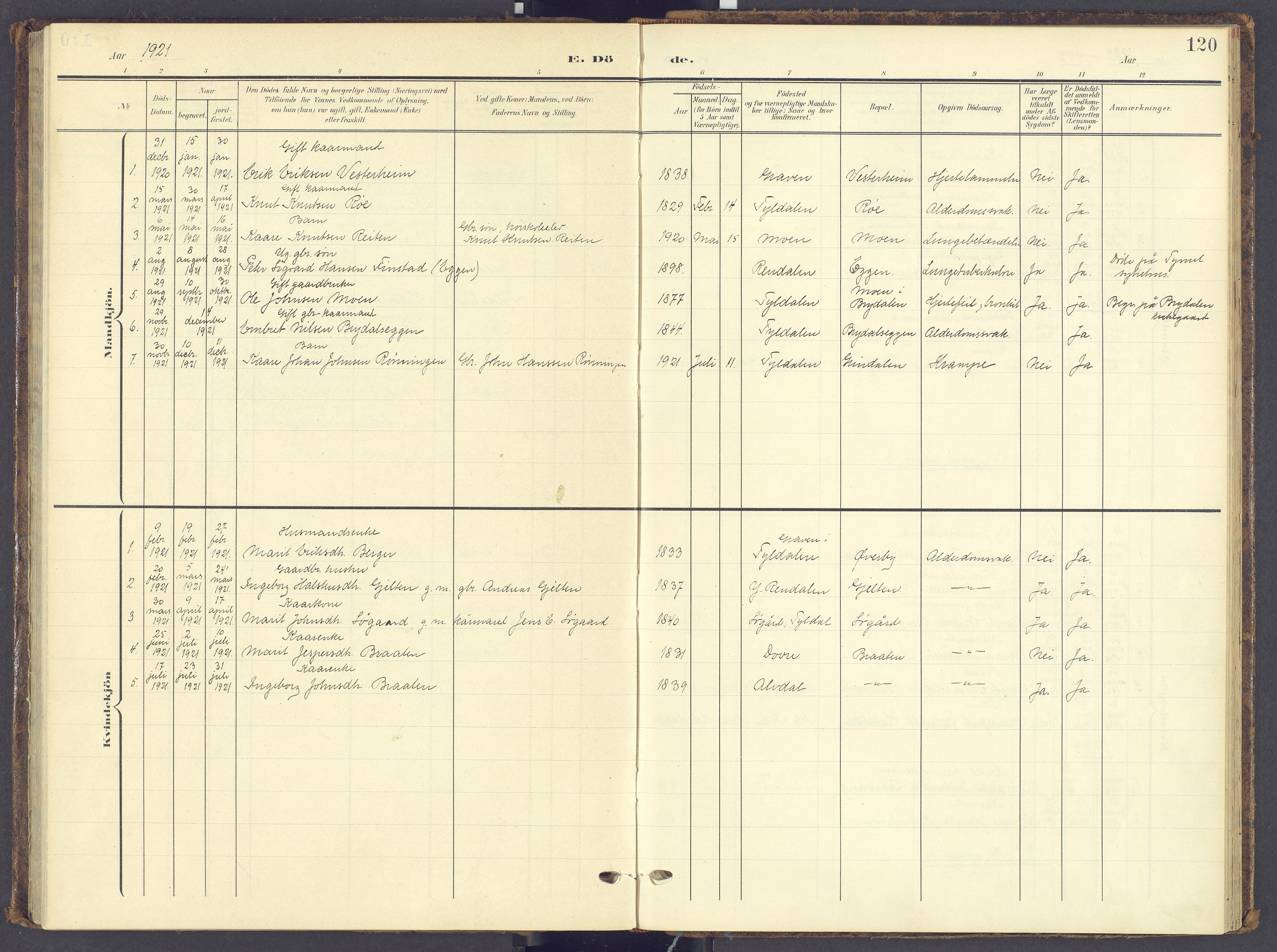Tynset prestekontor, AV/SAH-PREST-058/H/Ha/Haa/L0028: Ministerialbok nr. 28, 1902-1929, s. 120