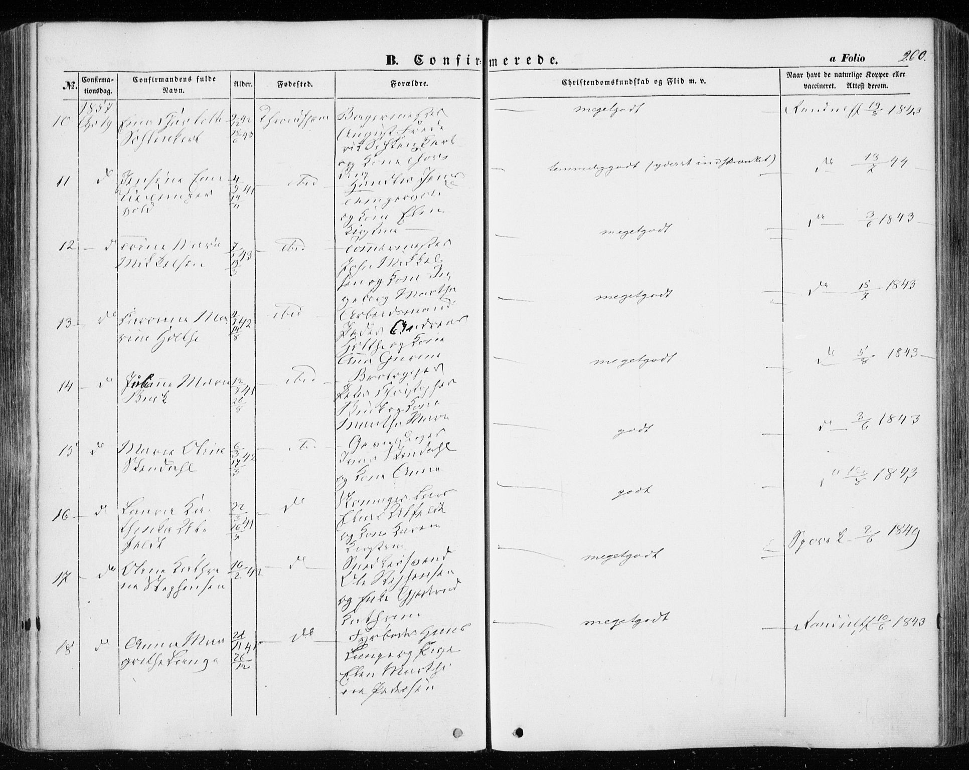 Ministerialprotokoller, klokkerbøker og fødselsregistre - Sør-Trøndelag, AV/SAT-A-1456/601/L0051: Ministerialbok nr. 601A19, 1848-1857, s. 260