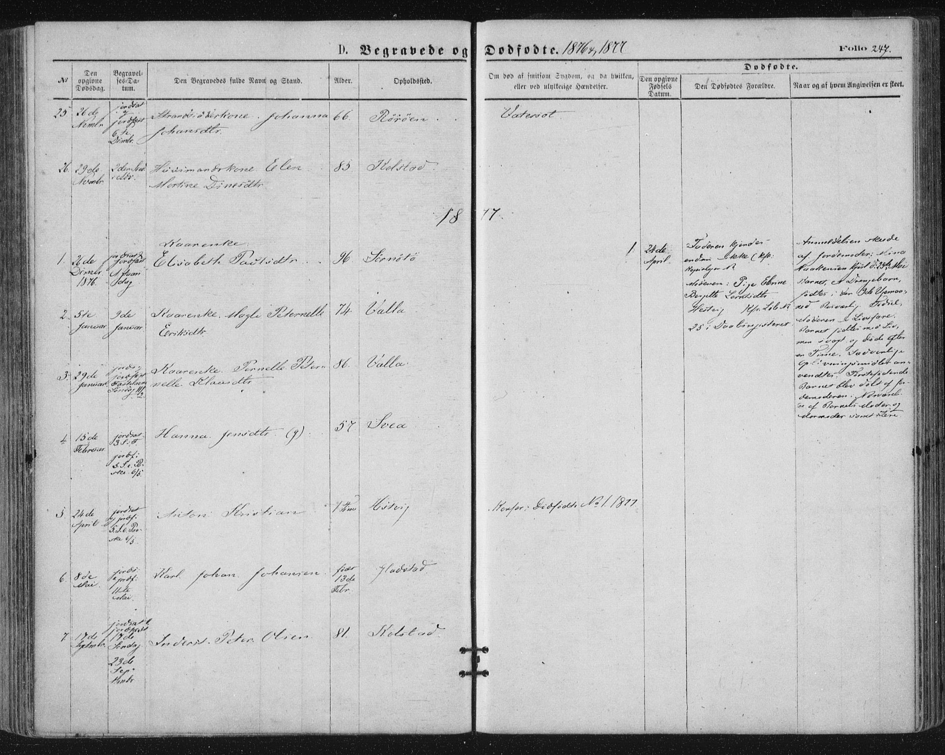 Ministerialprotokoller, klokkerbøker og fødselsregistre - Nordland, SAT/A-1459/816/L0241: Ministerialbok nr. 816A07, 1870-1885, s. 247