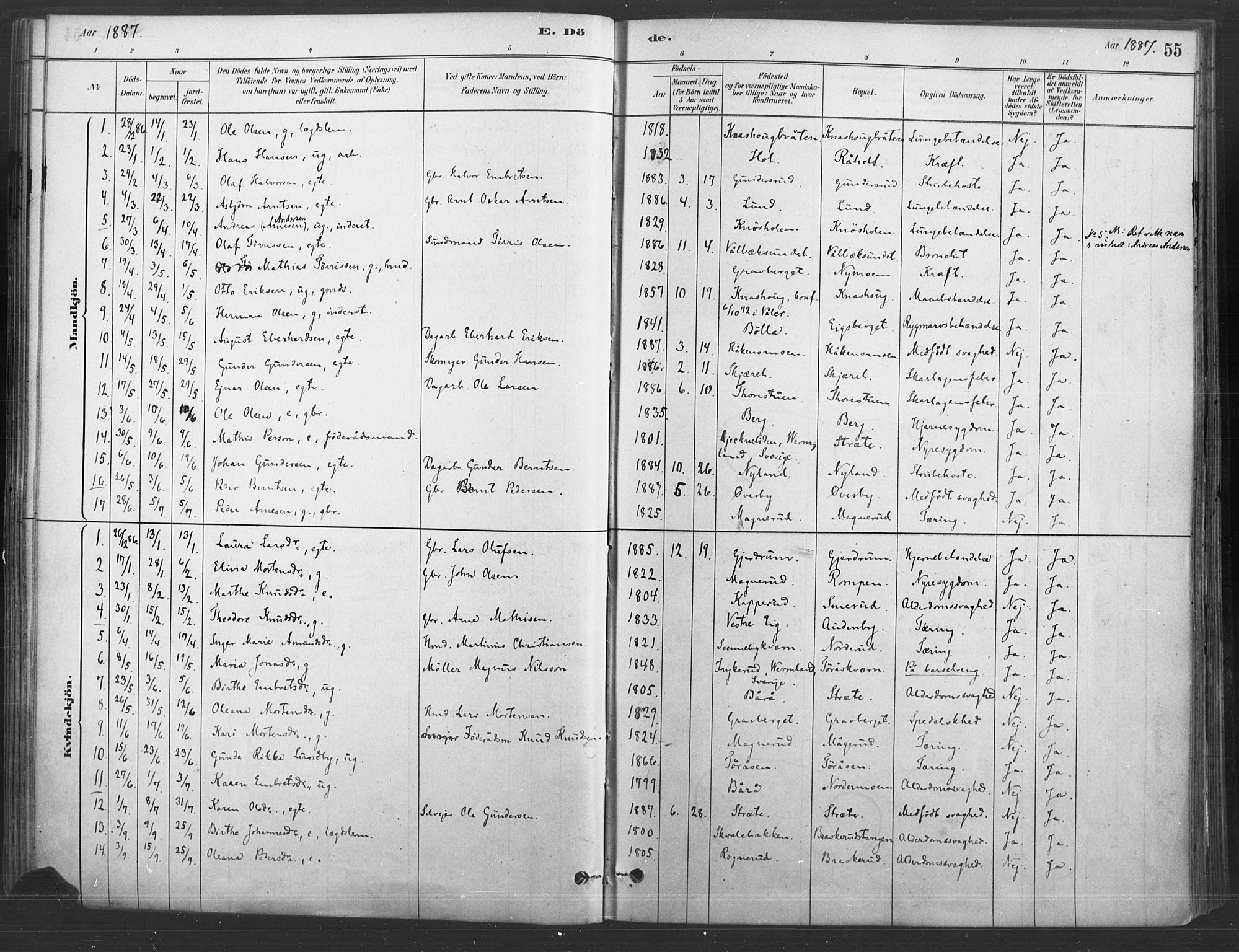 Våler prestekontor, Hedmark, AV/SAH-PREST-040/H/Ha/Haa/L0004: Ministerialbok nr. 4, 1879-1893, s. 55