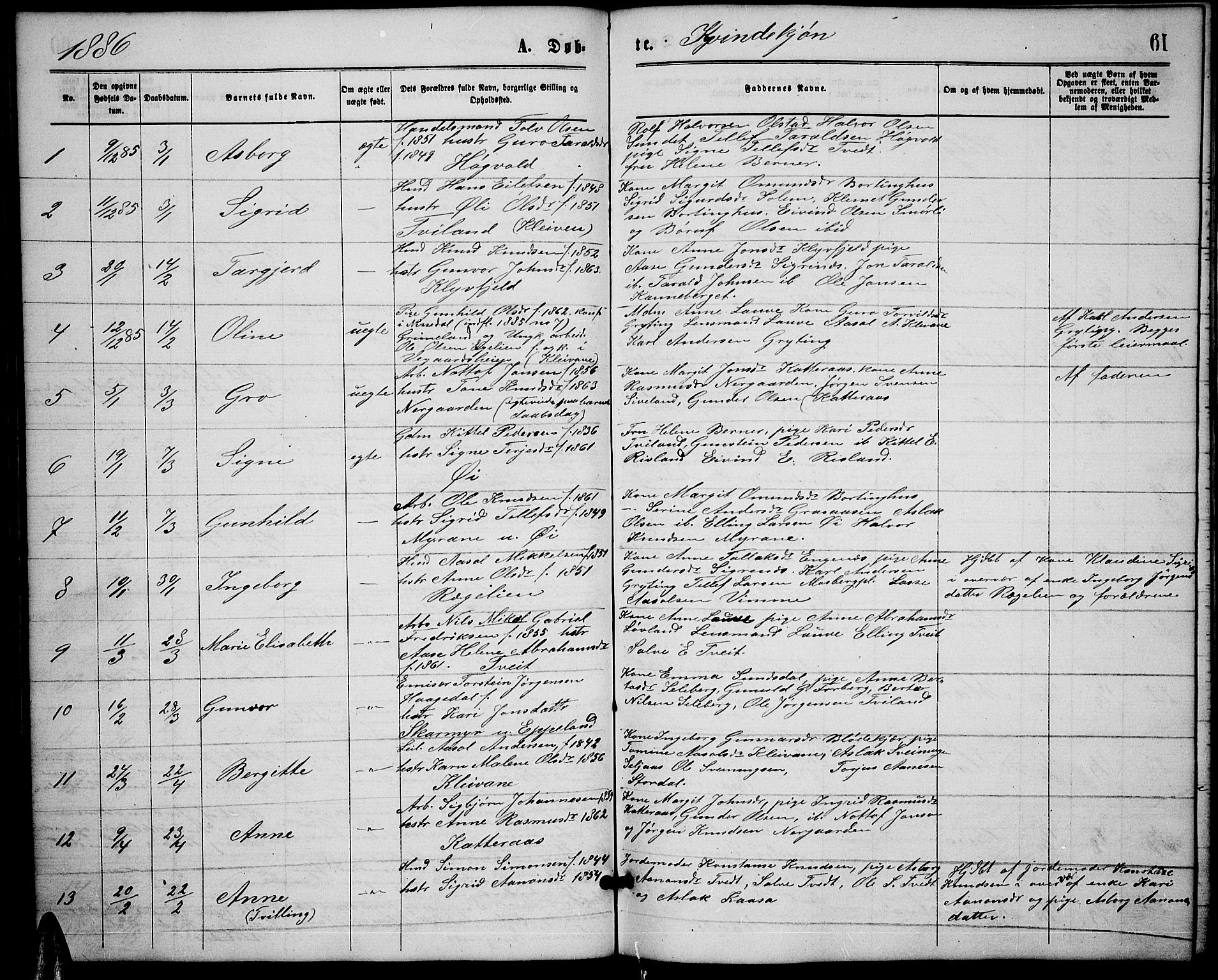 Åmli sokneprestkontor, AV/SAK-1111-0050/F/Fb/Fbc/L0003: Klokkerbok nr. B 3, 1868-1888, s. 61