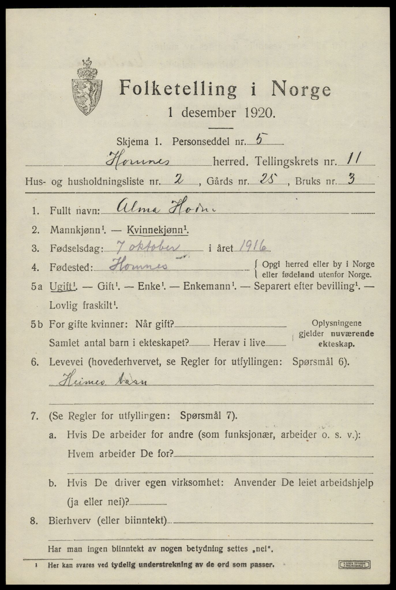 SAK, Folketelling 1920 for 0936 Hornnes herred, 1920, s. 2653
