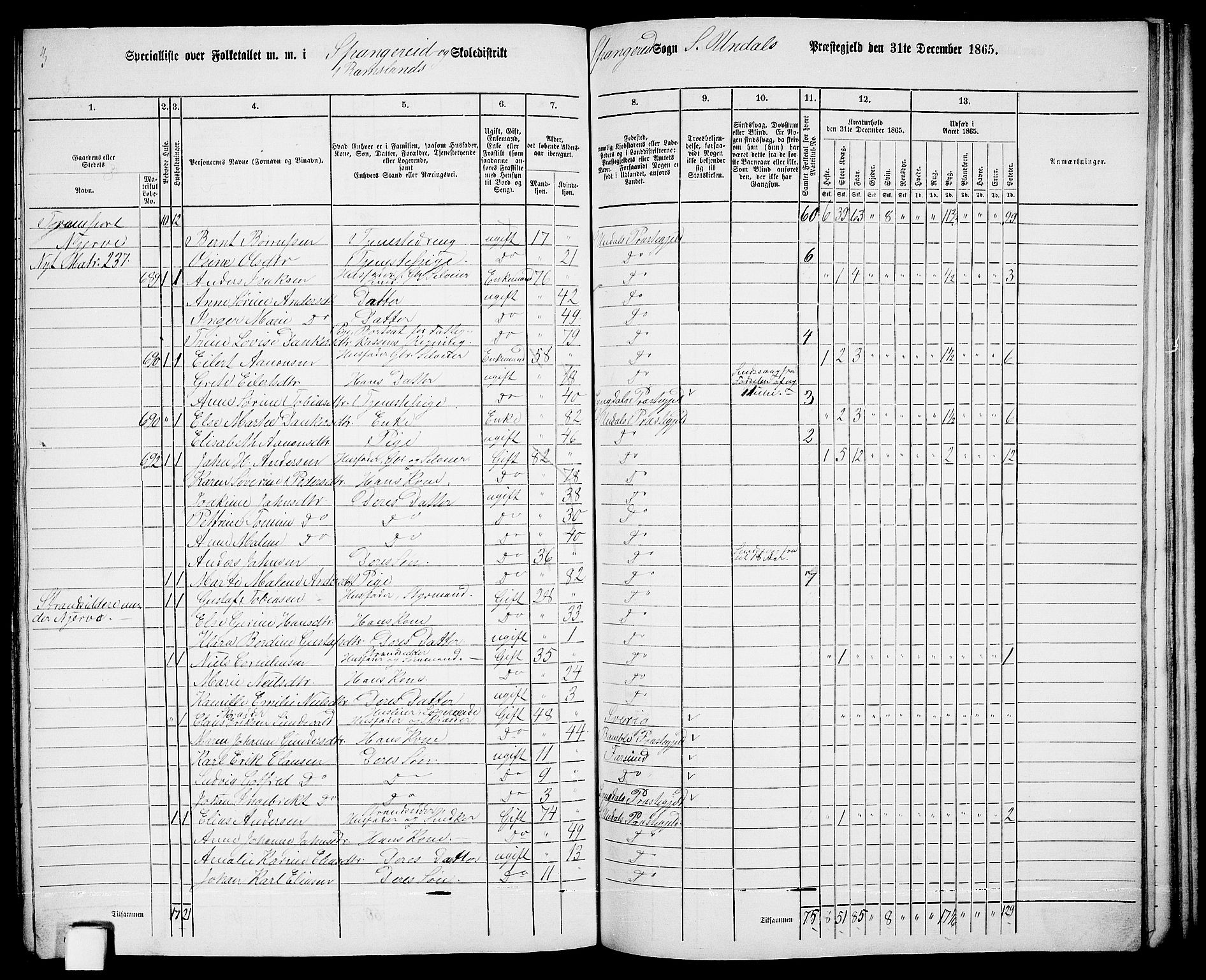 RA, Folketelling 1865 for 1029P Sør-Audnedal prestegjeld, 1865, s. 163