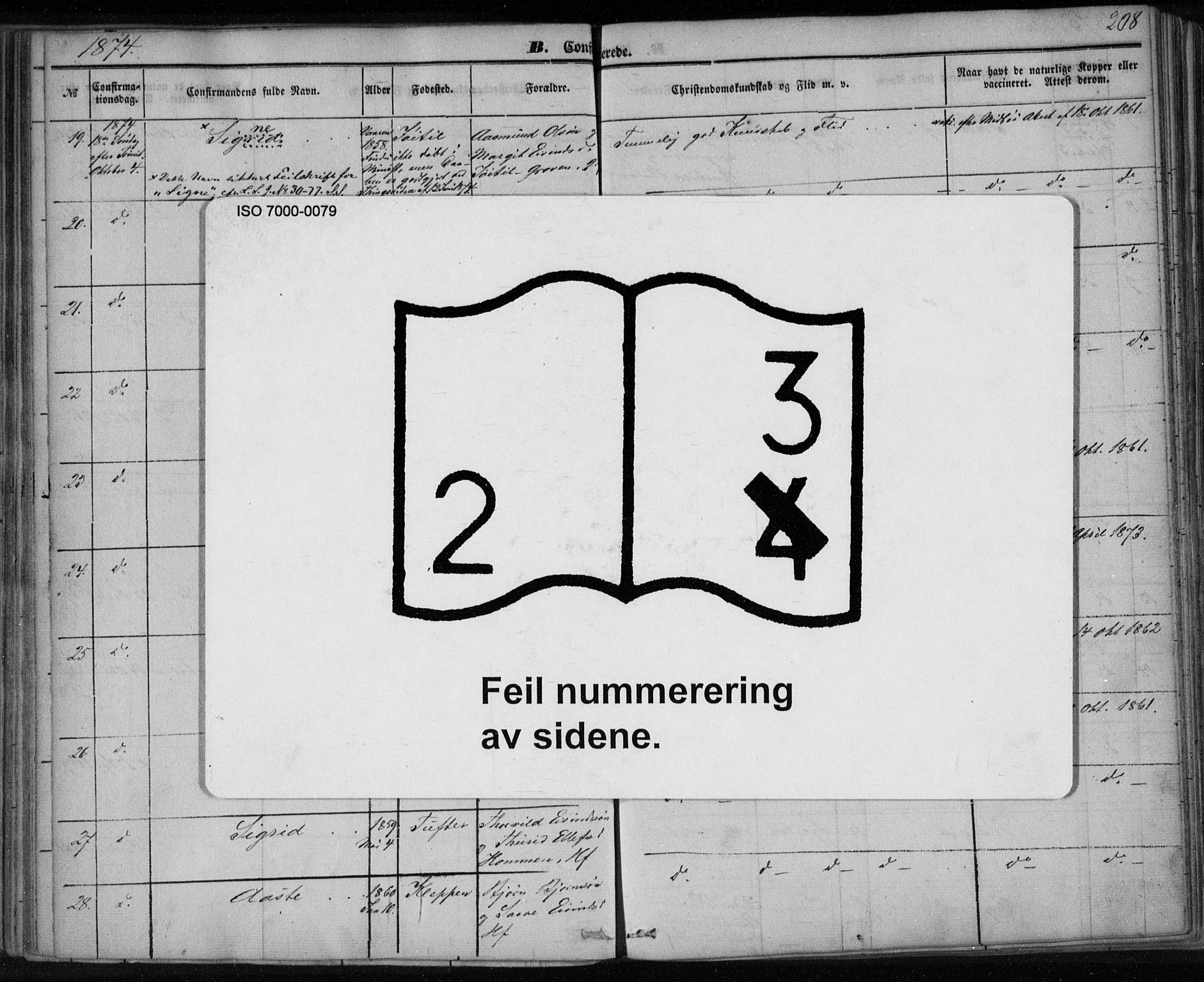 Lårdal kirkebøker, SAKO/A-284/F/Fa/L0006: Ministerialbok nr. I 6, 1861-1886, s. 208