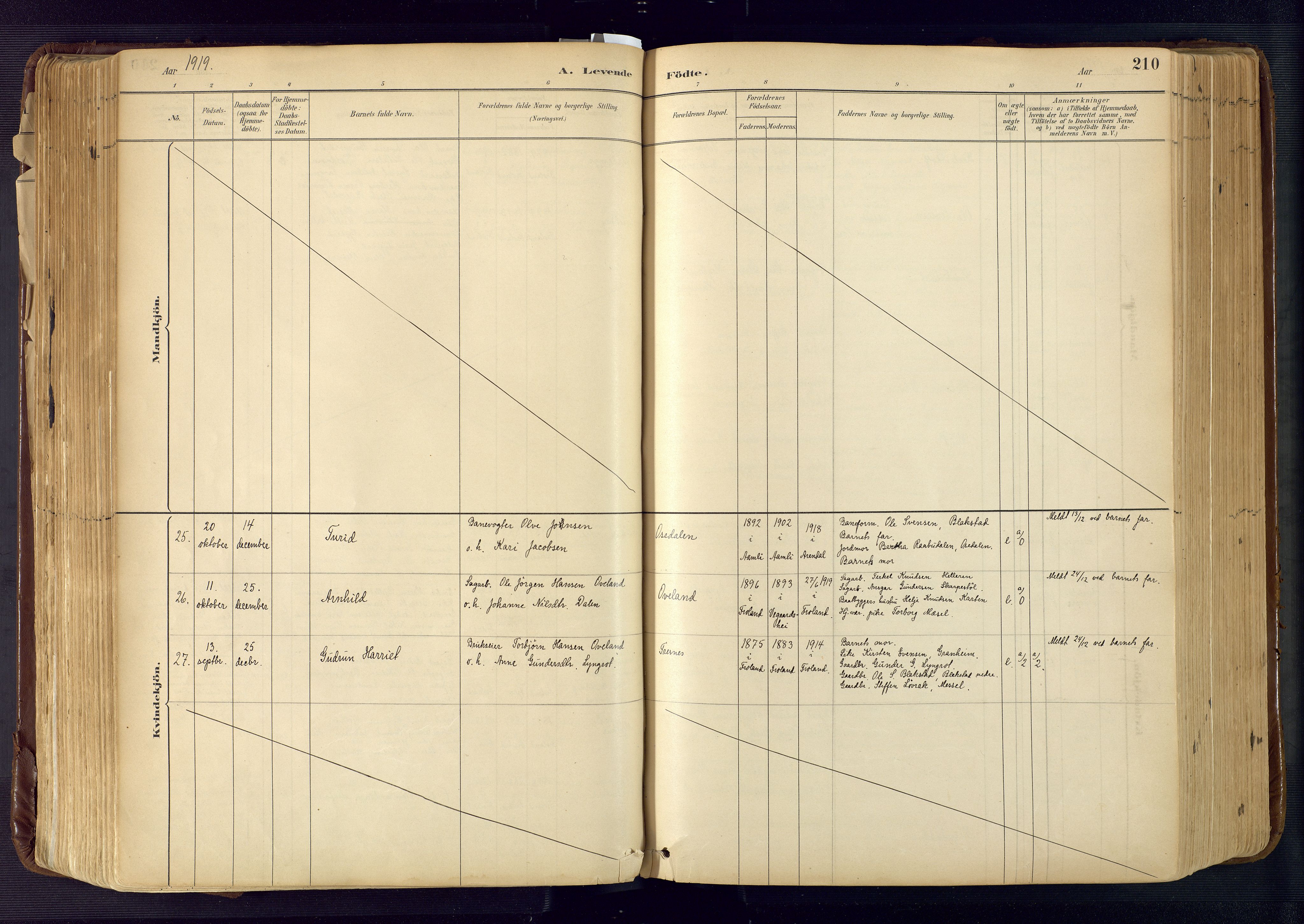 Froland sokneprestkontor, AV/SAK-1111-0013/F/Fa/L0005: Ministerialbok nr. A 5, 1882-1921, s. 210