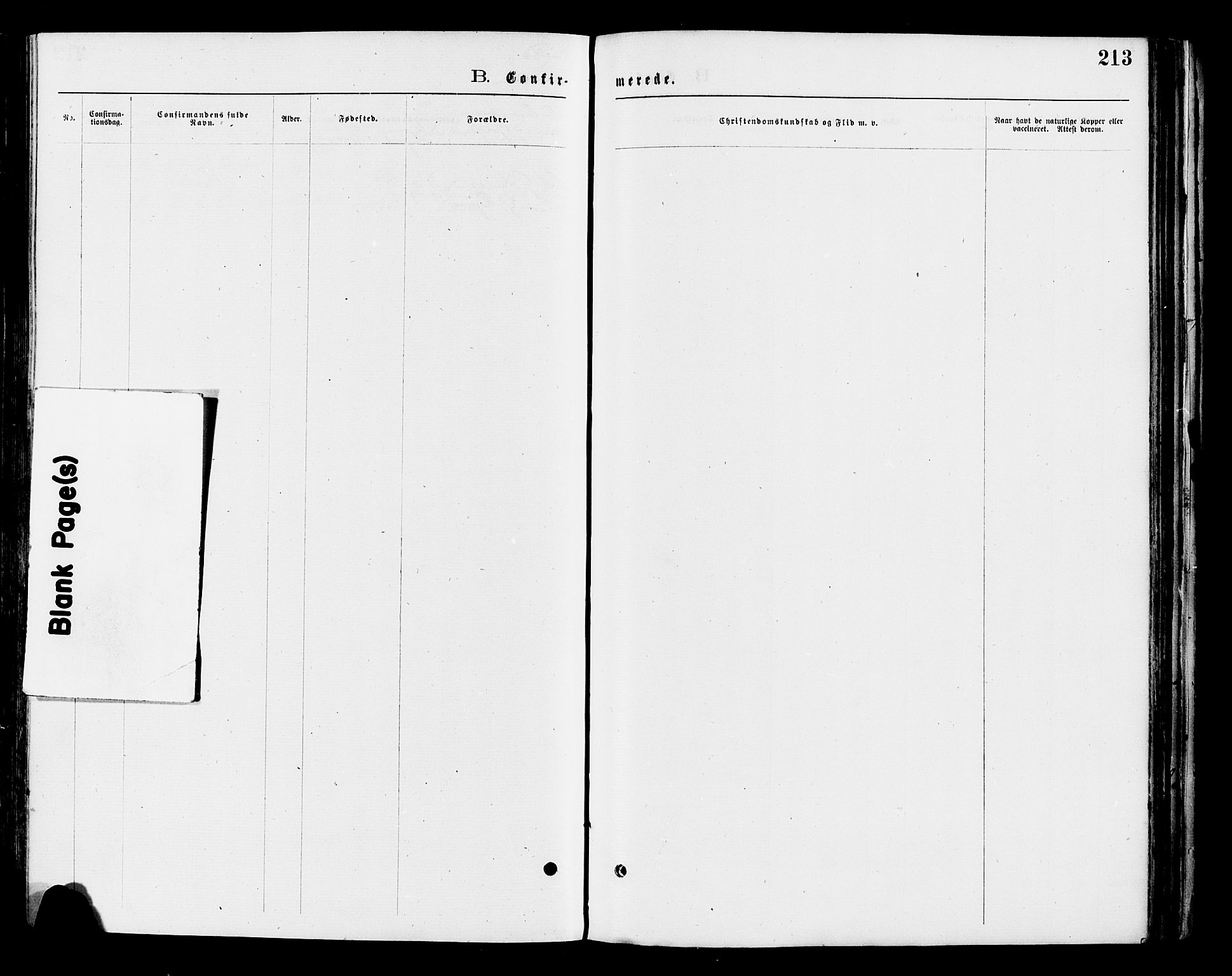 Nord-Aurdal prestekontor, SAH/PREST-132/H/Ha/Haa/L0009: Ministerialbok nr. 9, 1876-1882, s. 213
