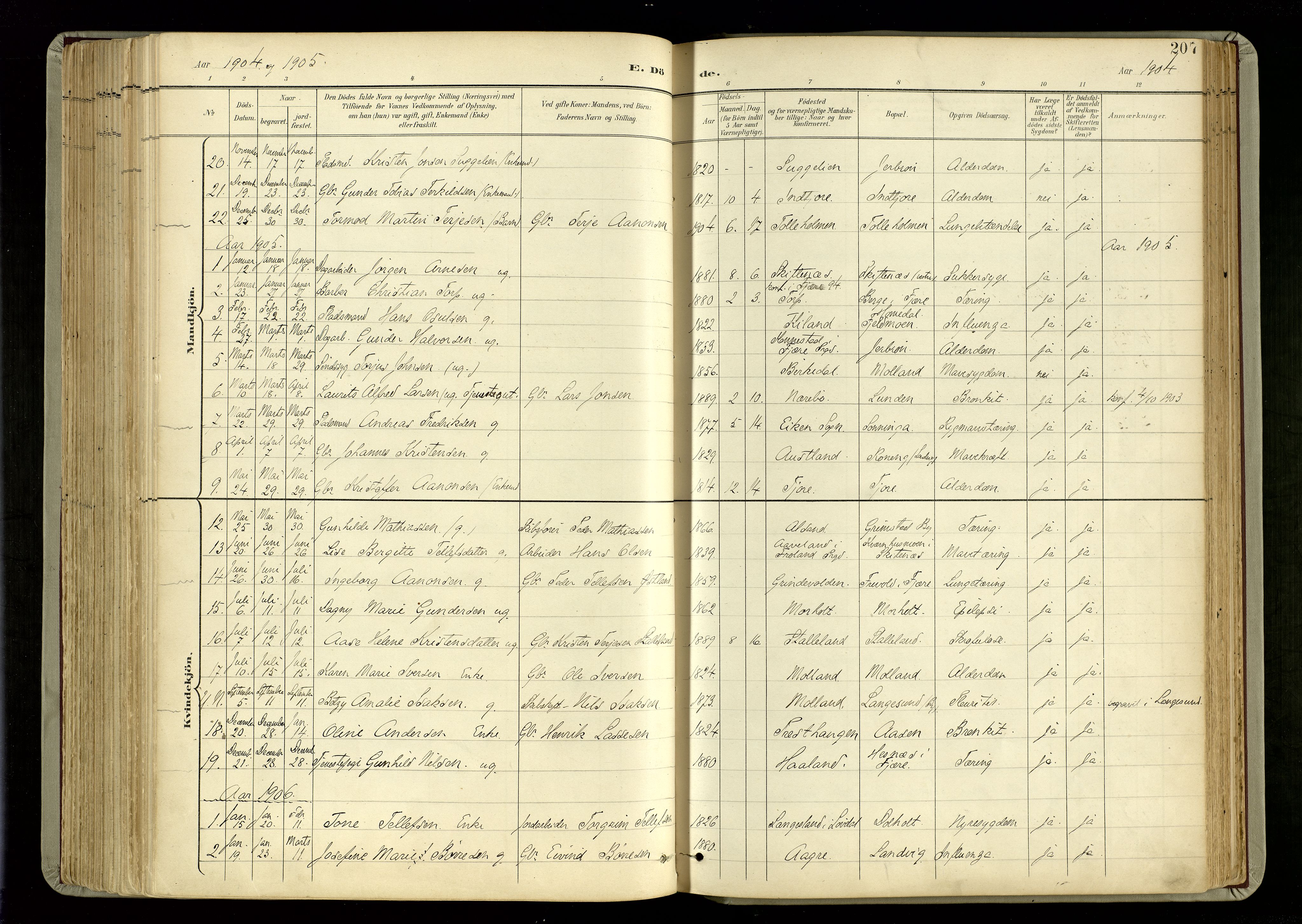 Hommedal sokneprestkontor, AV/SAK-1111-0023/F/Fa/Fab/L0007: Ministerialbok nr. A 7, 1898-1924, s. 207