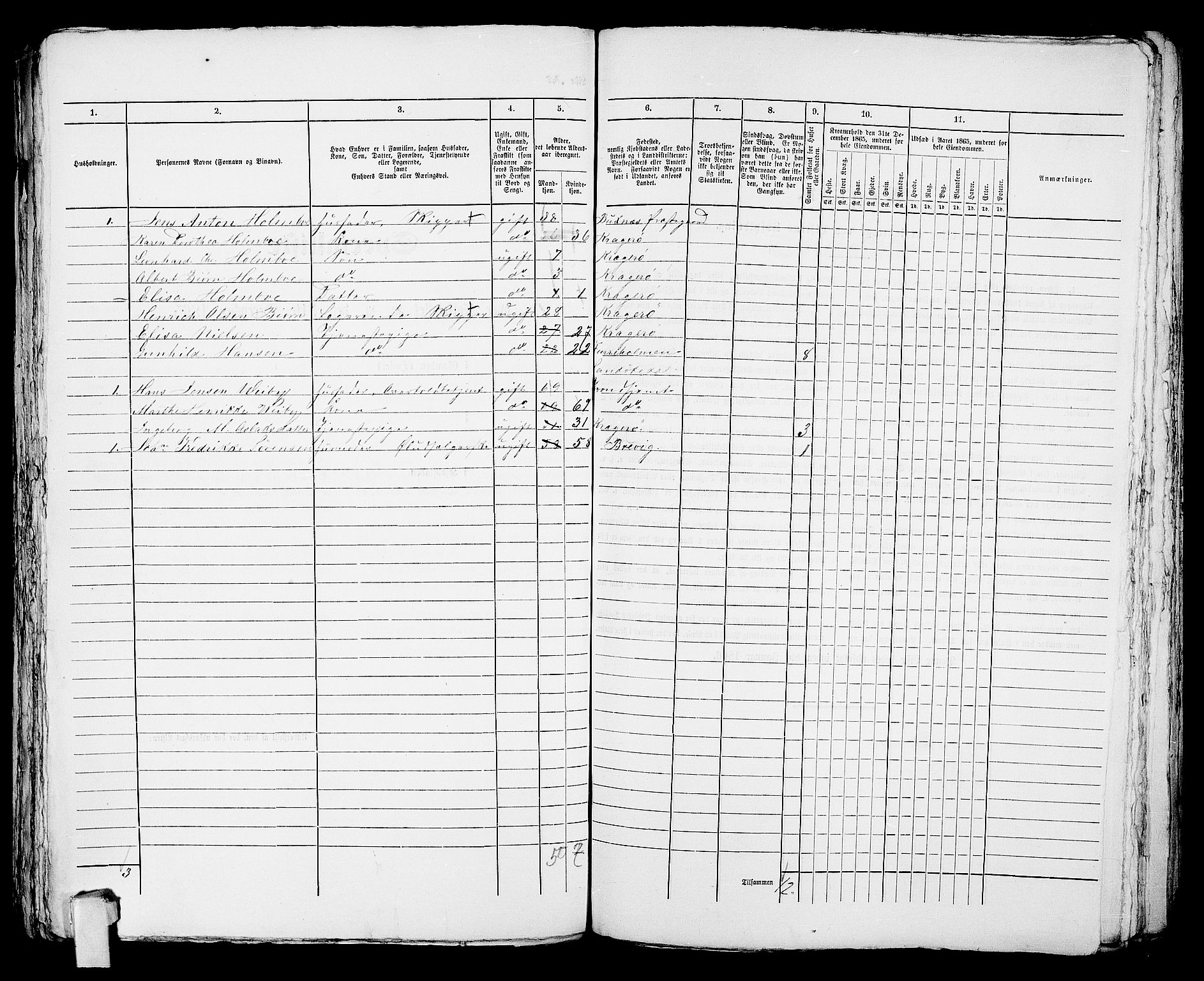 RA, Folketelling 1865 for 0801B Kragerø prestegjeld, Kragerø kjøpstad, 1865, s. 1071