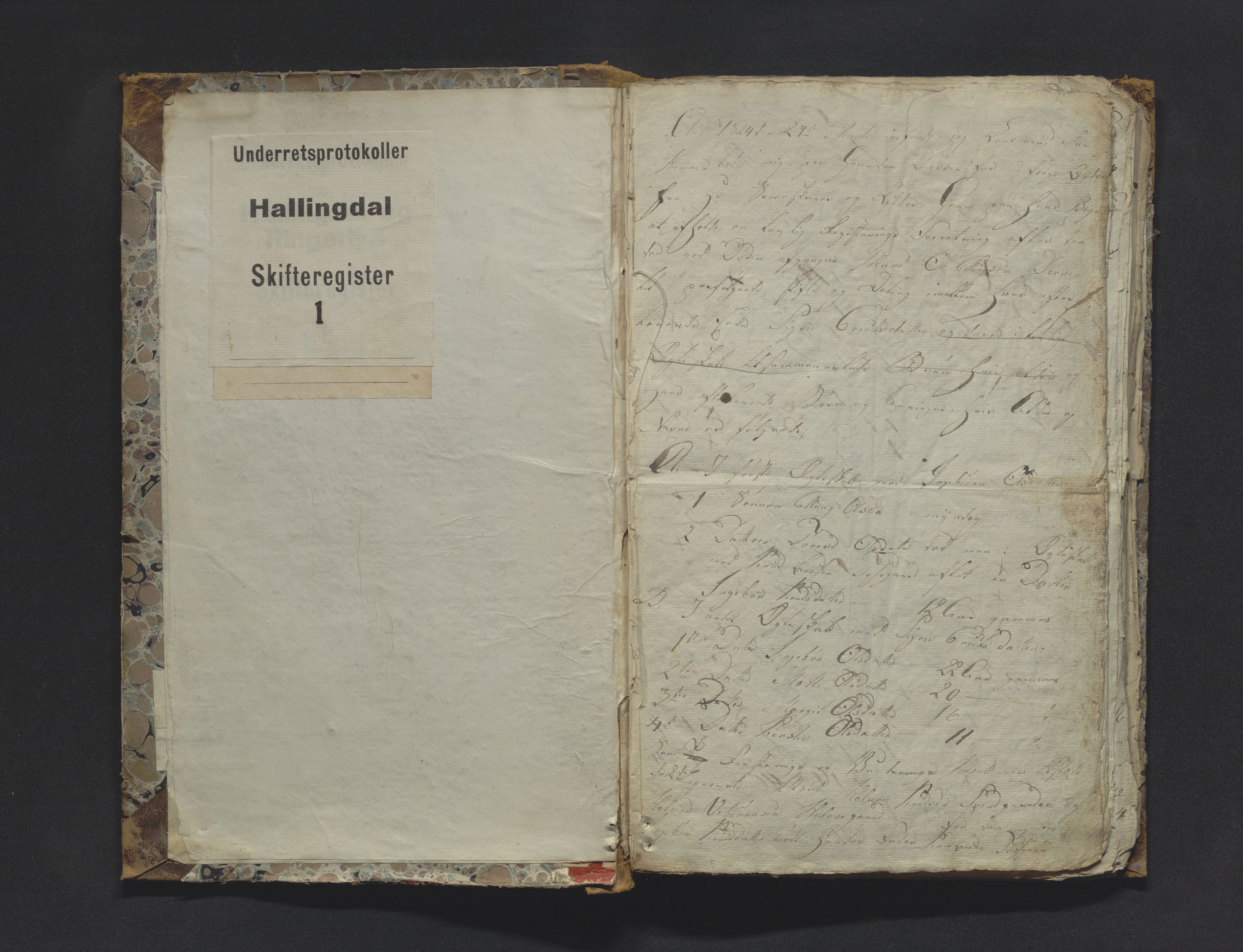 Hallingdal sorenskriveri, SAKO/A-121/H/Hb/Hbb/Hbba/L0001: Skifteregistreringsprotokoll, Sorenskriveriet, 1824-1828