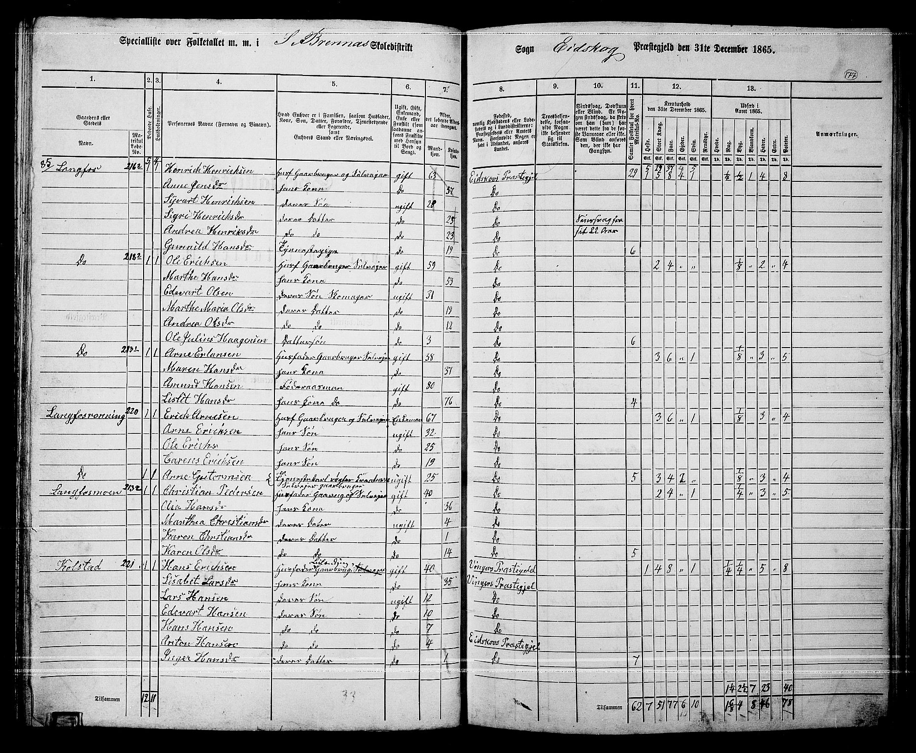 RA, Folketelling 1865 for 0420P Eidskog prestegjeld, 1865, s. 161