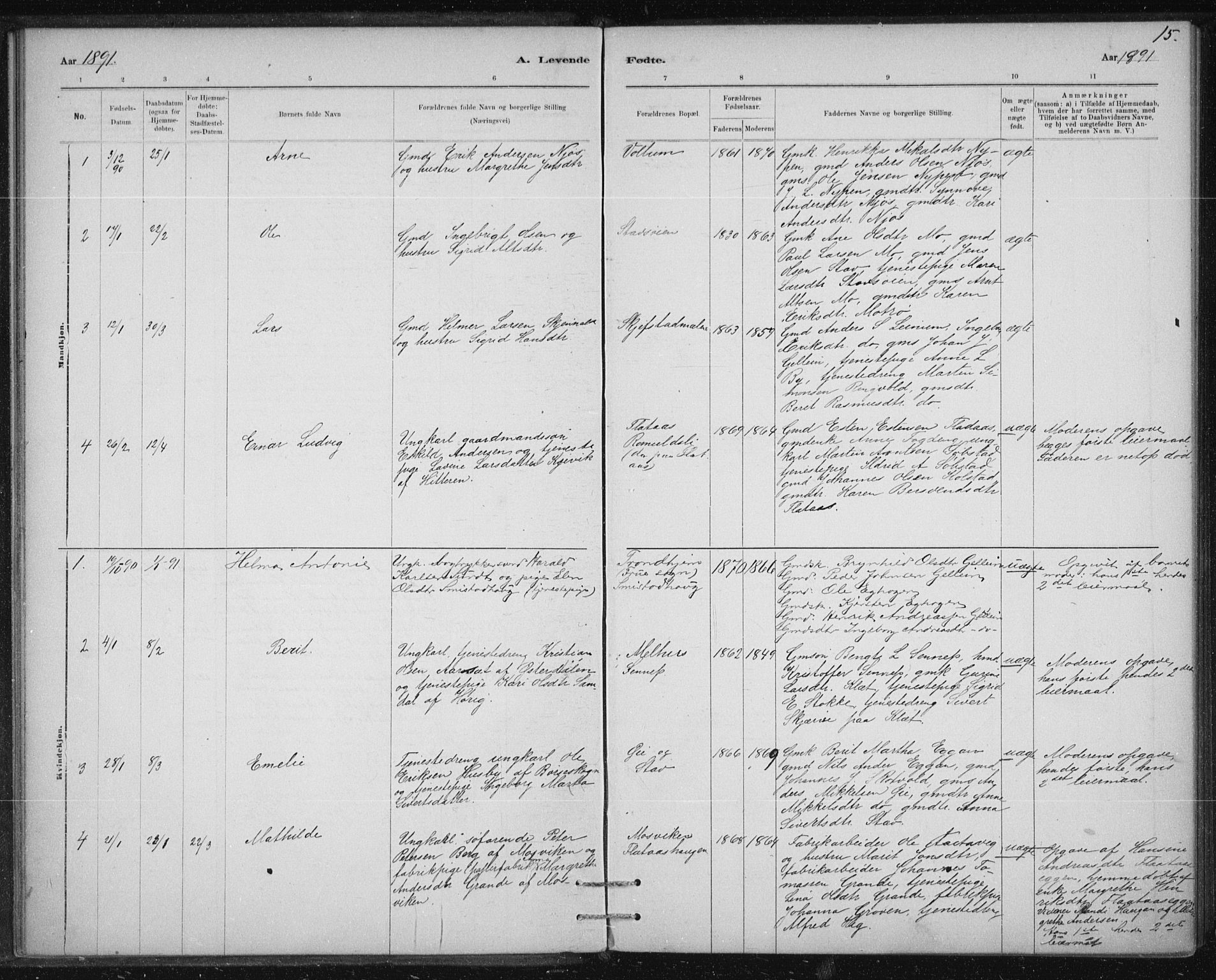 Ministerialprotokoller, klokkerbøker og fødselsregistre - Sør-Trøndelag, AV/SAT-A-1456/613/L0392: Ministerialbok nr. 613A01, 1887-1906, s. 15