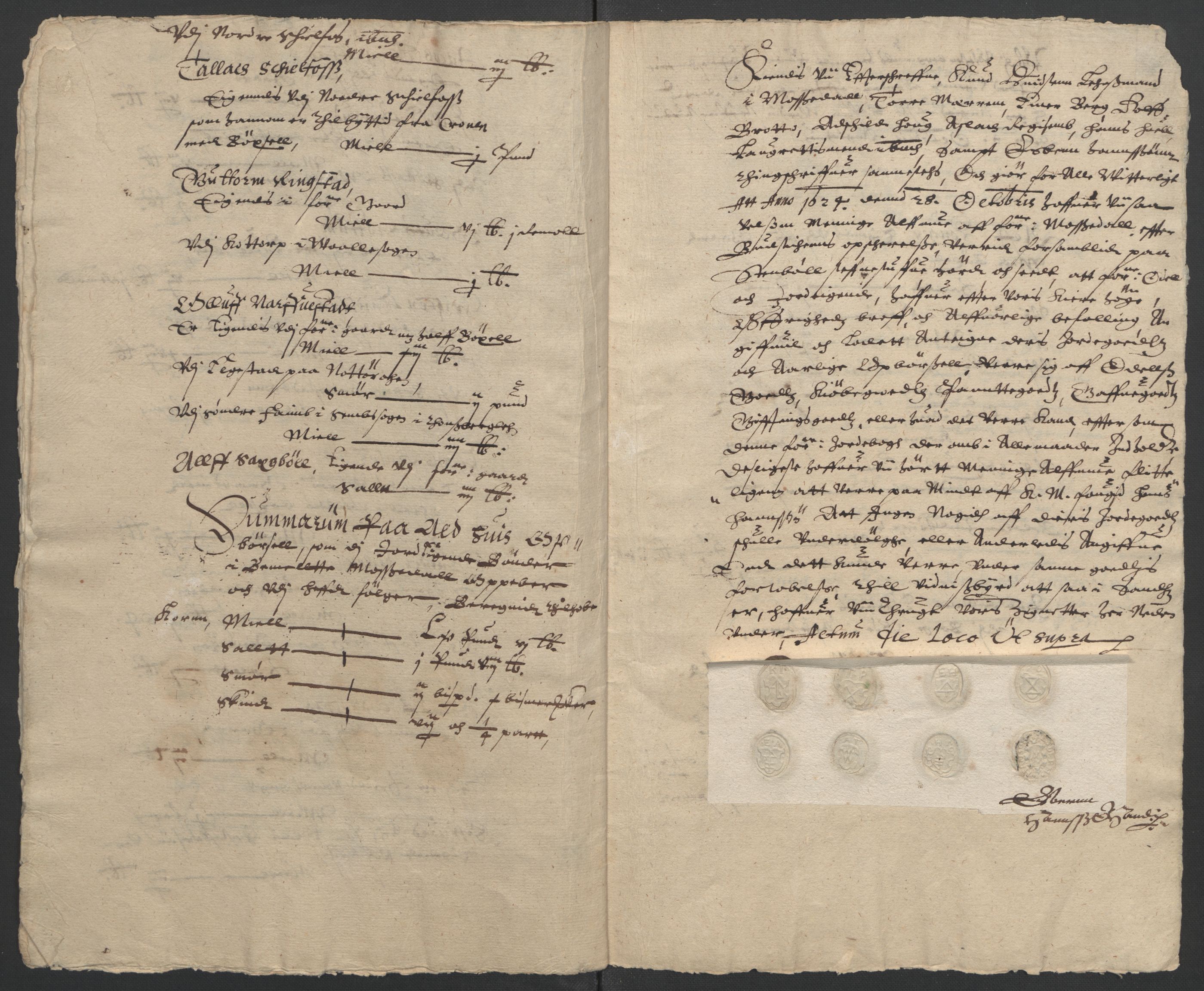 Stattholderembetet 1572-1771, AV/RA-EA-2870/Ek/L0009/0001: Jordebøker til utlikning av rosstjeneste 1624-1626: / Odelsjordebøker for noen vikværske len, 1624-1626, s. 29