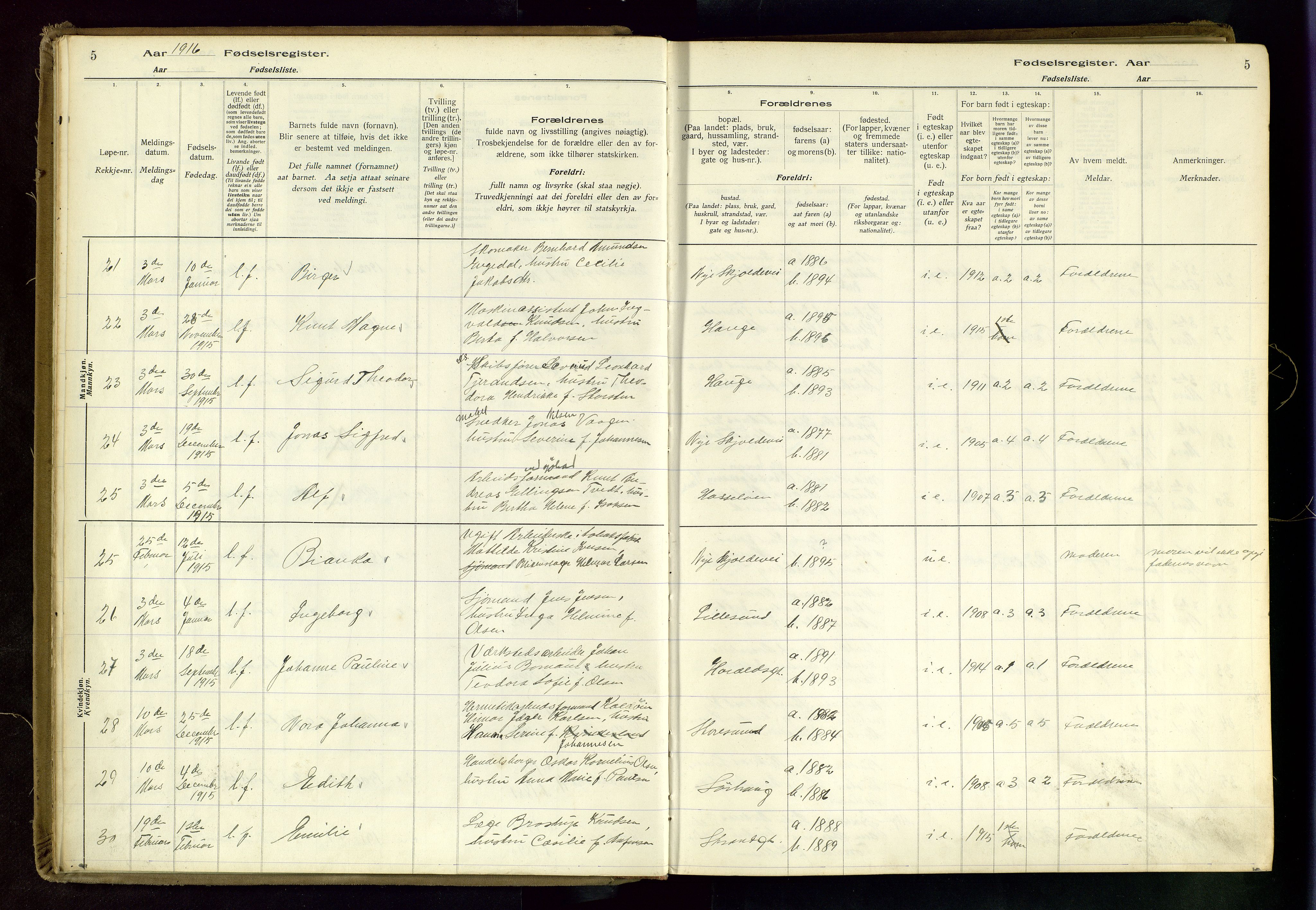 Haugesund sokneprestkontor, SAST/A -101863/I/Id/L0003: Fødselsregister nr. 1, 1916-1919, s. 5