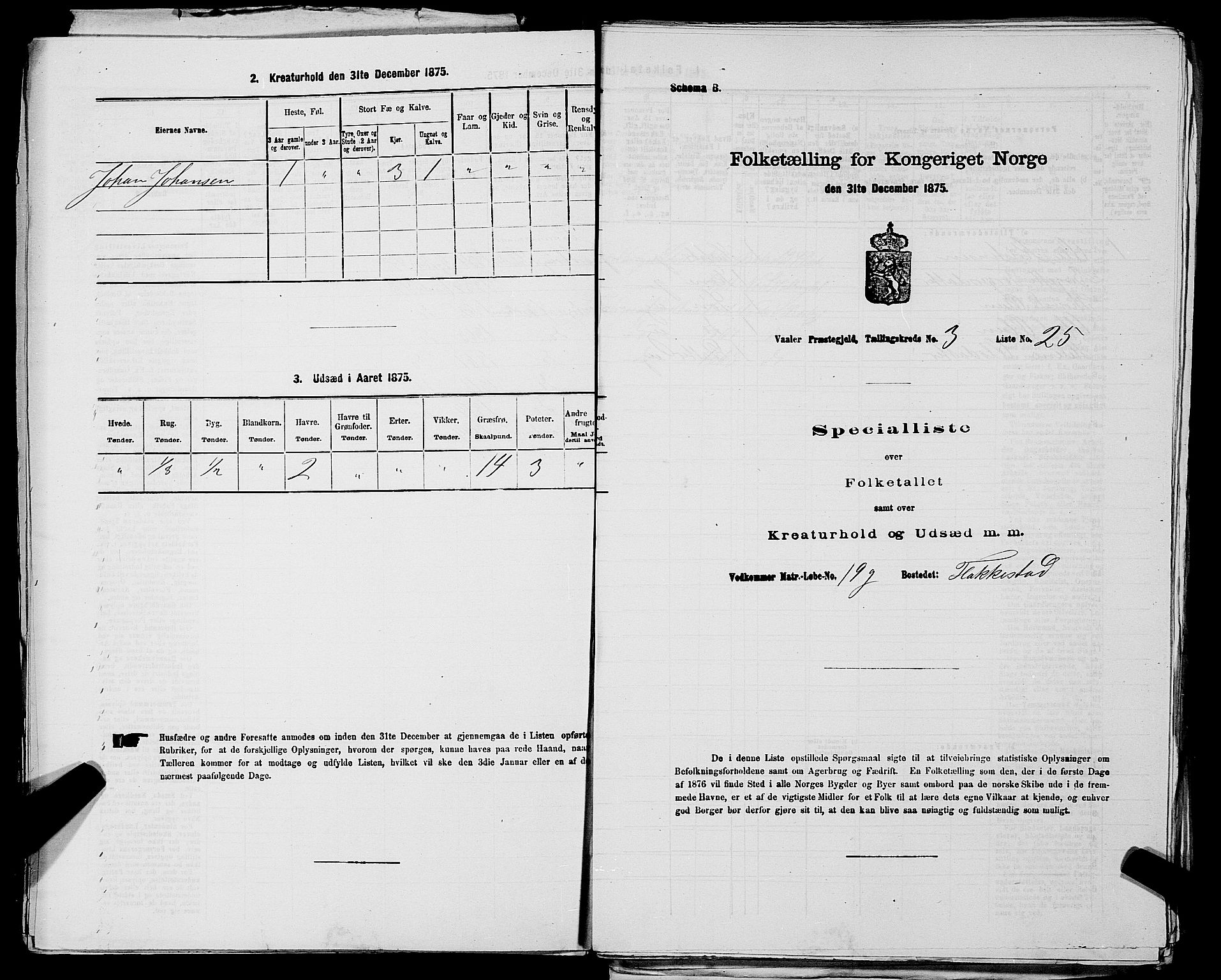 RA, Folketelling 1875 for 0137P Våler prestegjeld, 1875, s. 423