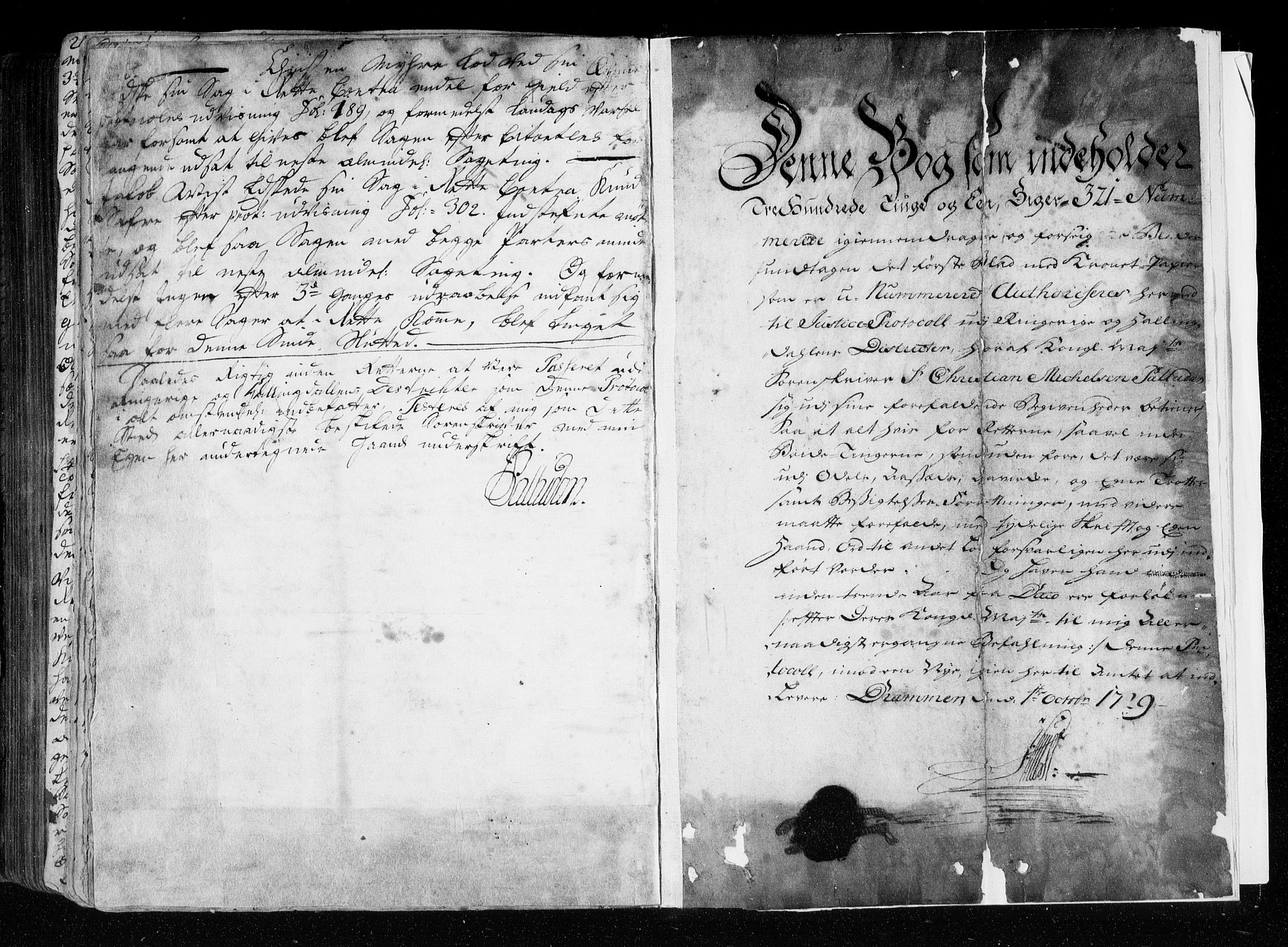Ringerike og Hallingdal sorenskriveri, SAKO/A-81/F/Fa/Faa/L0034: Tingbok, 1729-1732, s. 323