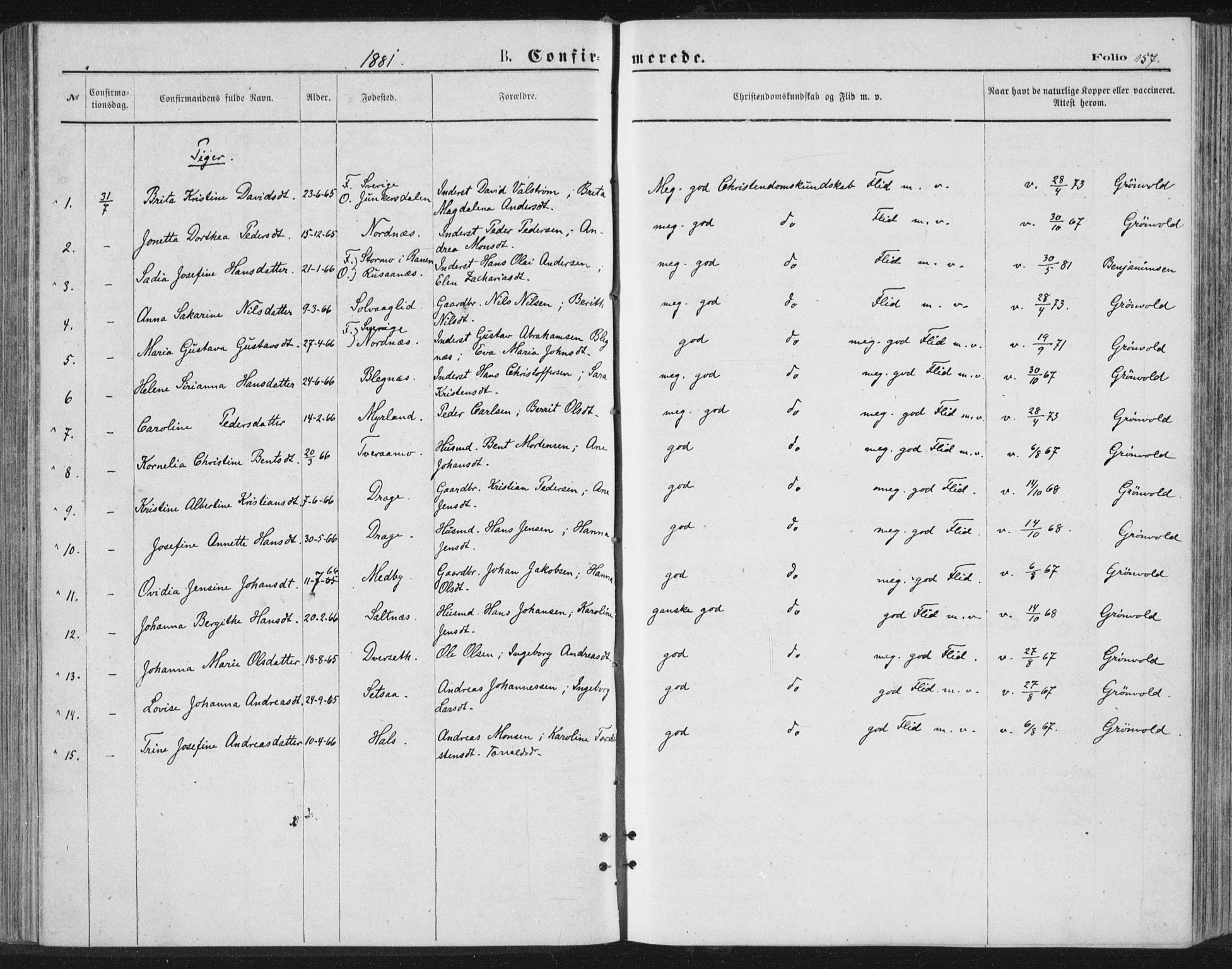 Ministerialprotokoller, klokkerbøker og fødselsregistre - Nordland, AV/SAT-A-1459/847/L0668: Ministerialbok nr. 847A08, 1872-1886, s. 157