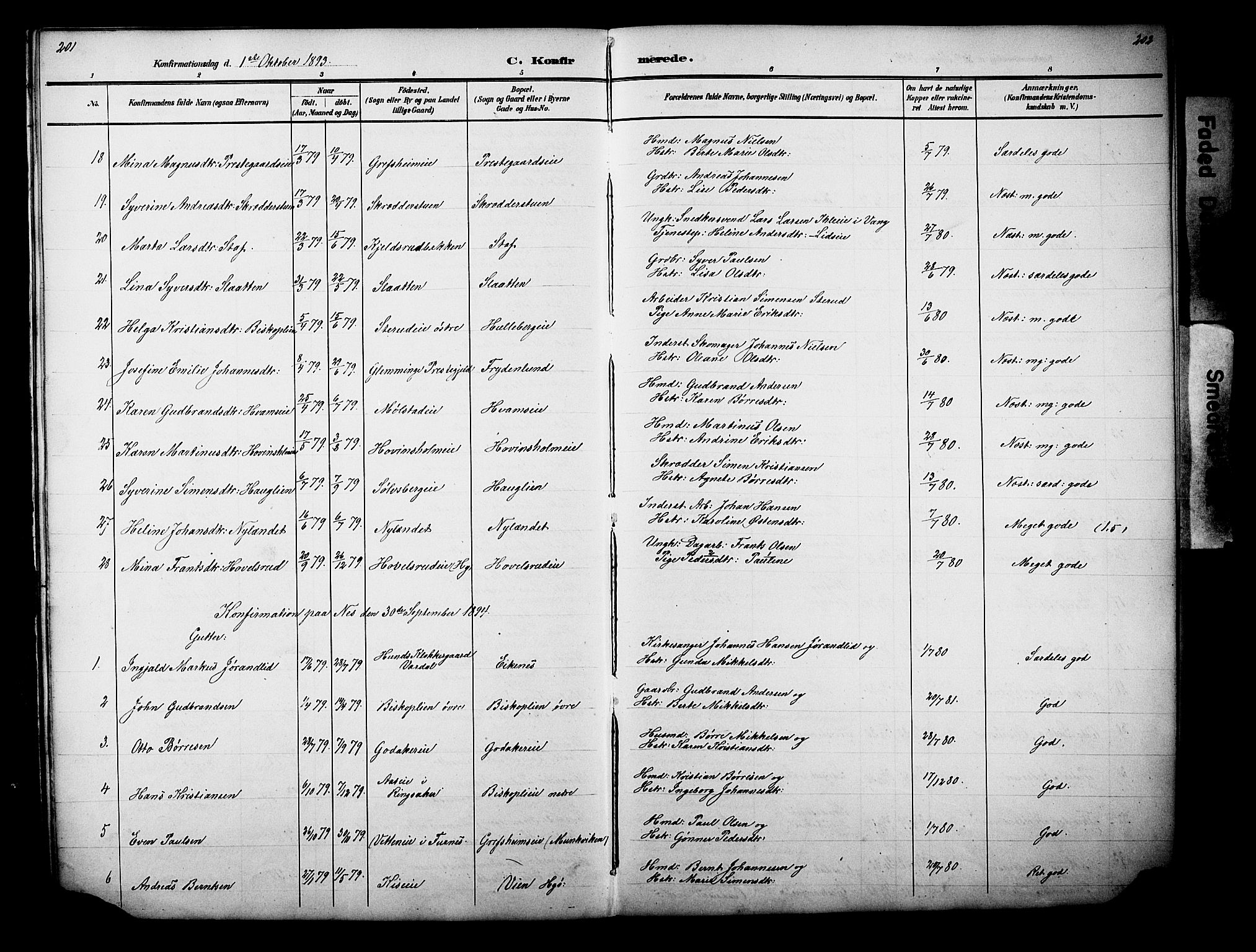 Nes prestekontor, Hedmark, SAH/PREST-020/L/La/L0006: Klokkerbok nr. 6, 1890-1932, s. 201-202