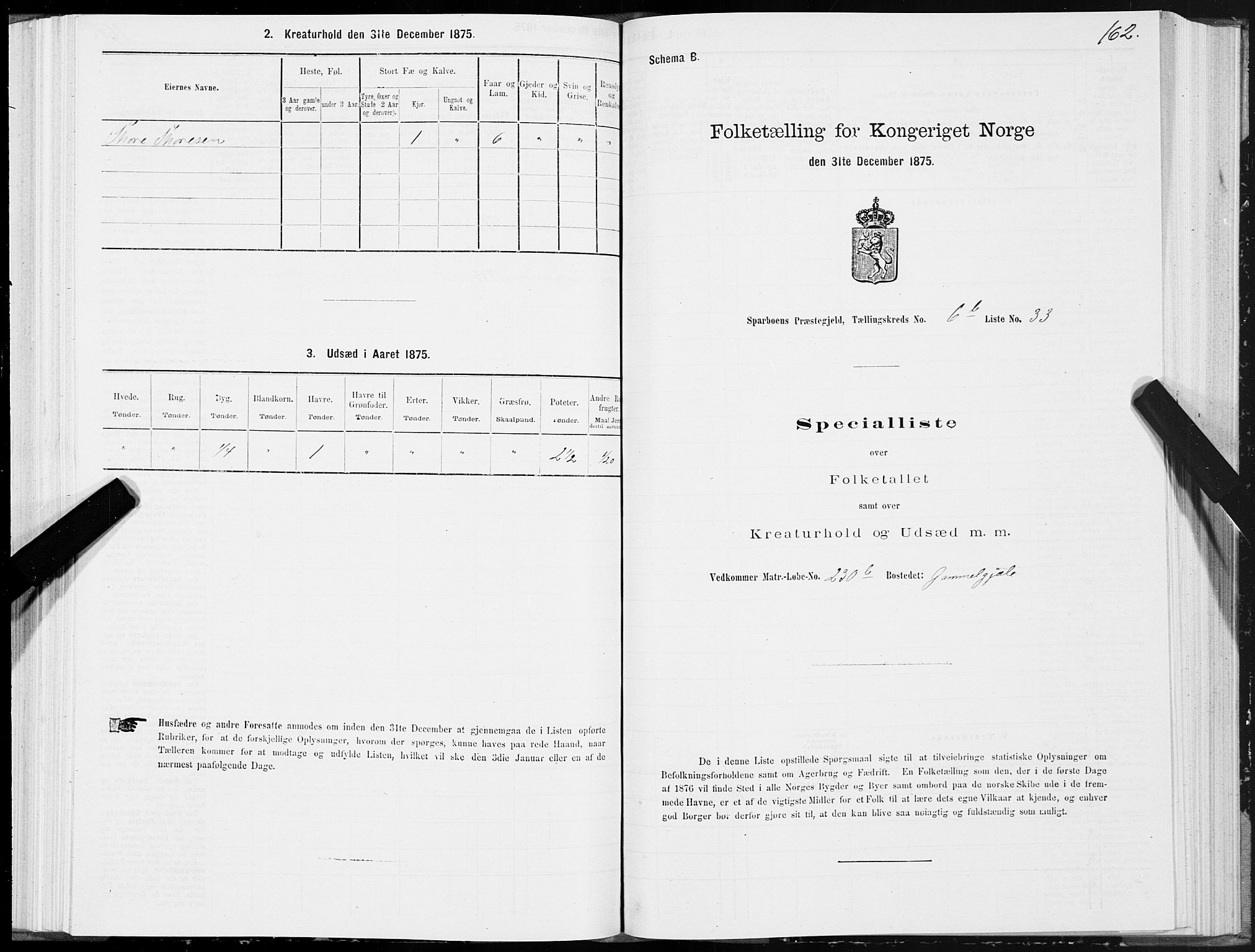 SAT, Folketelling 1875 for 1731P Sparbu prestegjeld, 1875, s. 3162
