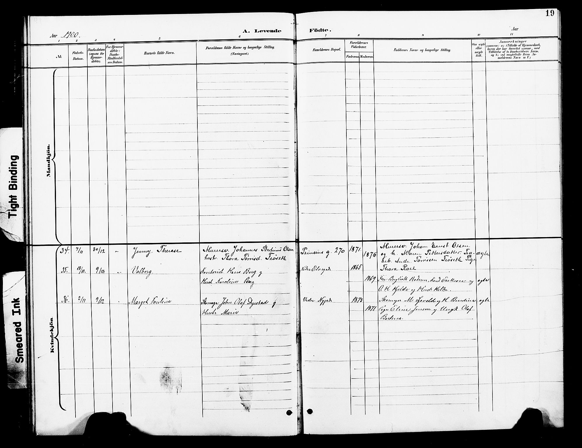 Ministerialprotokoller, klokkerbøker og fødselsregistre - Nord-Trøndelag, SAT/A-1458/739/L0375: Klokkerbok nr. 739C03, 1898-1908, s. 19