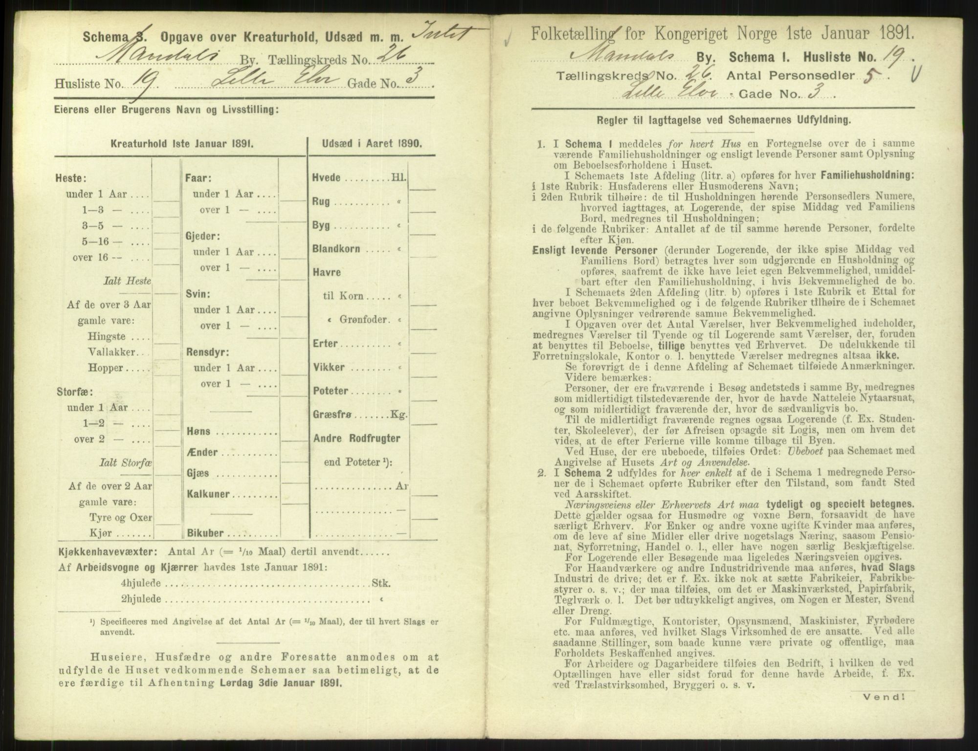 RA, Folketelling 1891 for 1002 Mandal ladested, 1891, s. 1185