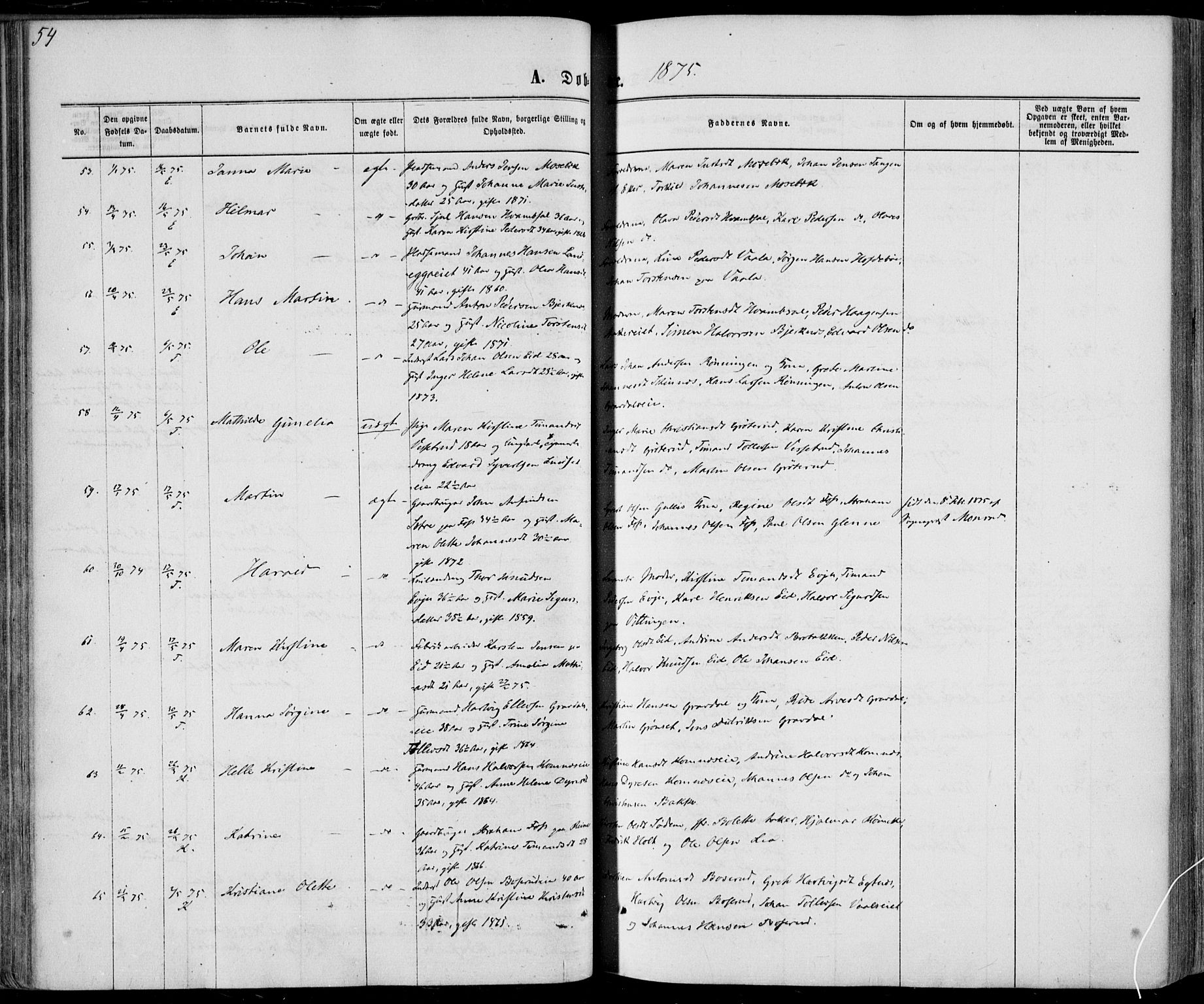 Sandsvær kirkebøker, AV/SAKO-A-244/F/Fa/L0007: Ministerialbok nr. I 7, 1869-1877, s. 54