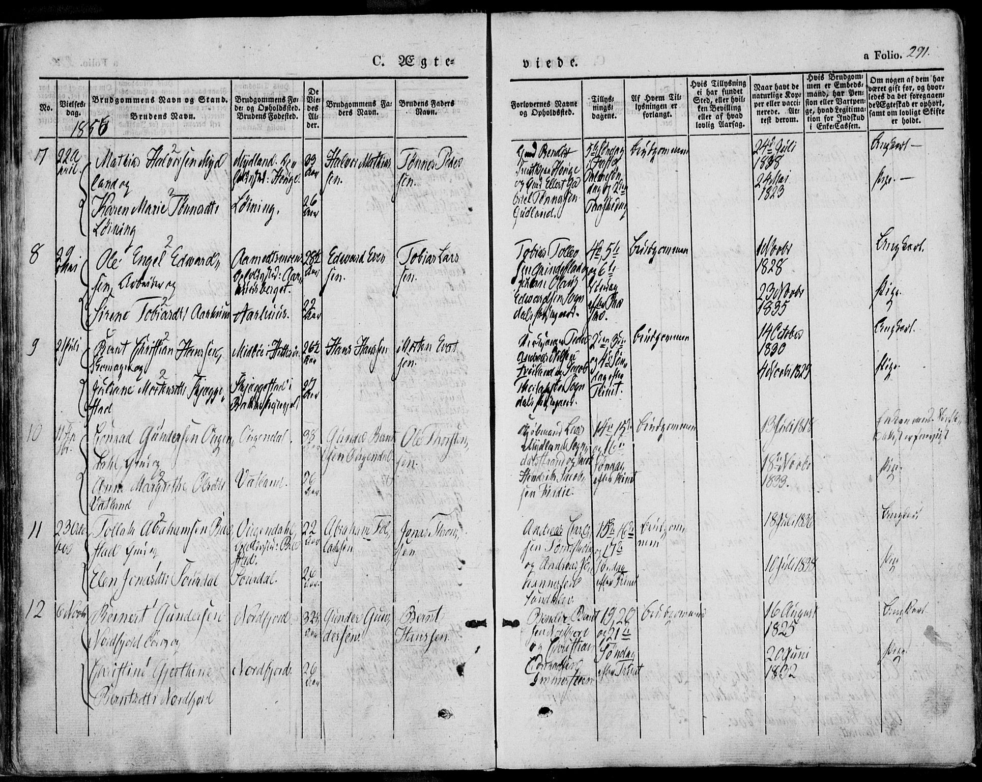 Sokndal sokneprestkontor, AV/SAST-A-101808: Ministerialbok nr. A 8.2, 1842-1857, s. 291