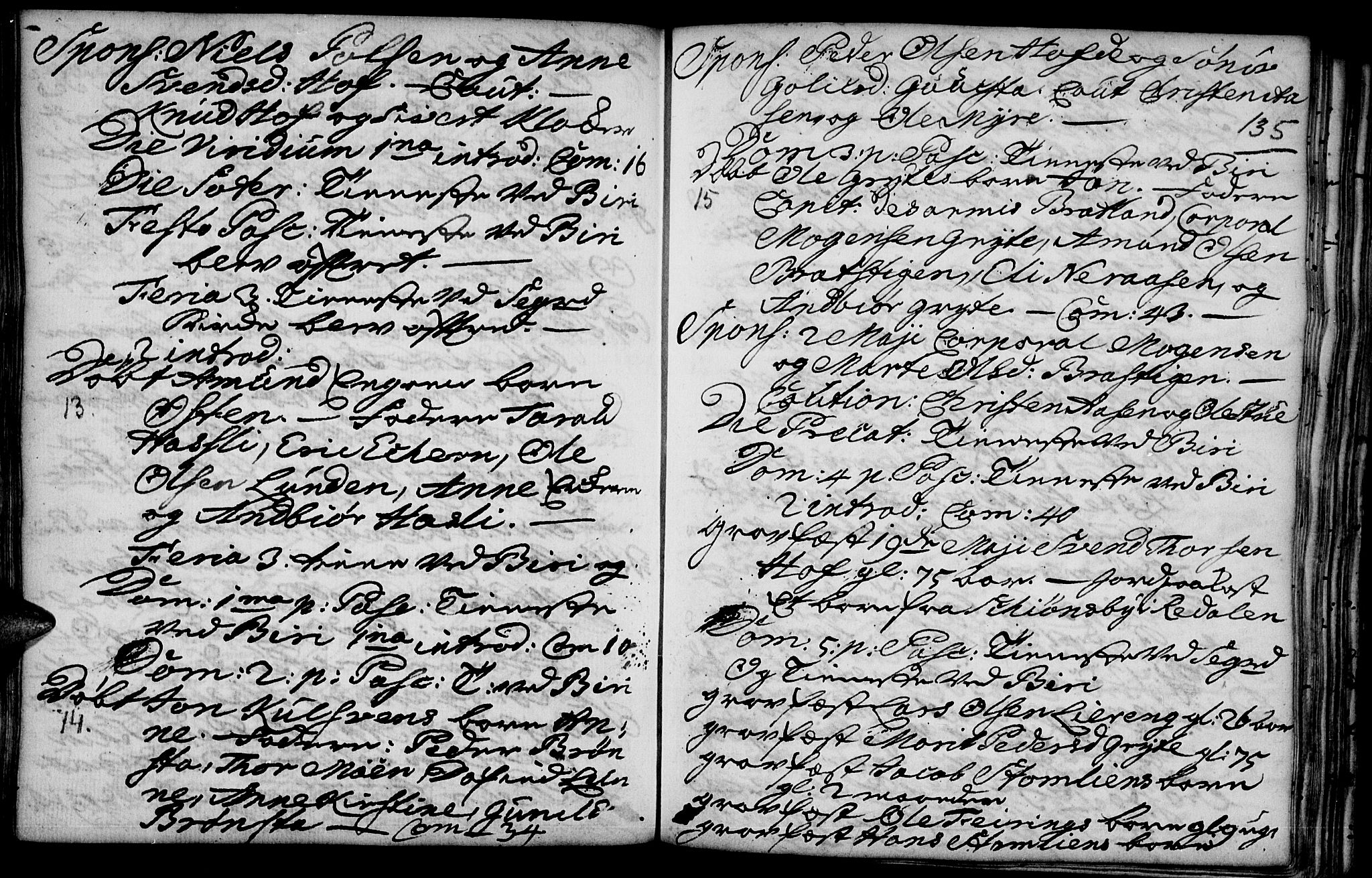 Biri prestekontor, AV/SAH-PREST-096/H/Ha/Haa/L0001: Ministerialbok nr. 1, 1730-1754, s. 135