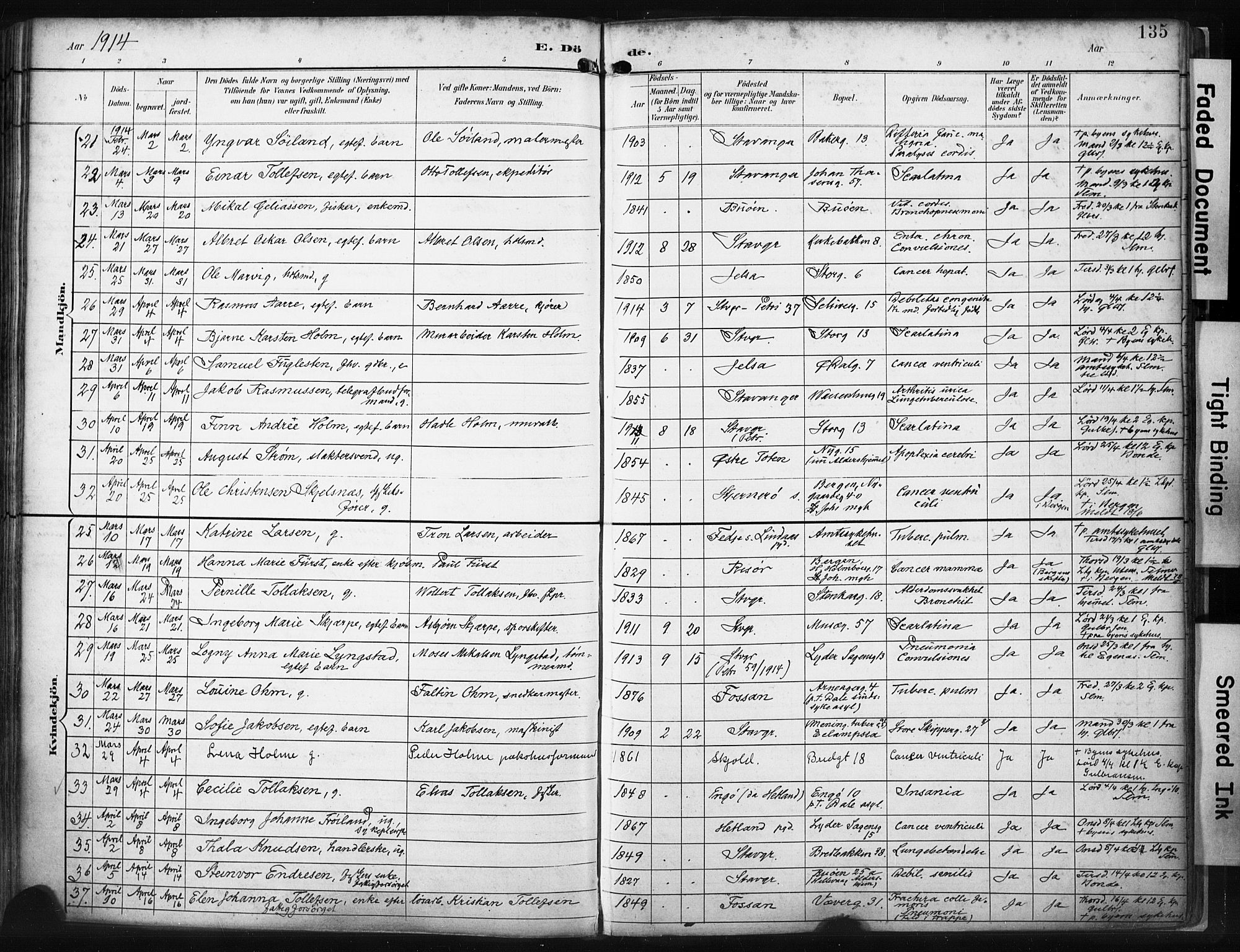 St. Petri sokneprestkontor, SAST/A-101813/001/30/30BA/L0022: Ministerialbok nr. A 22, 1895-1919, s. 135