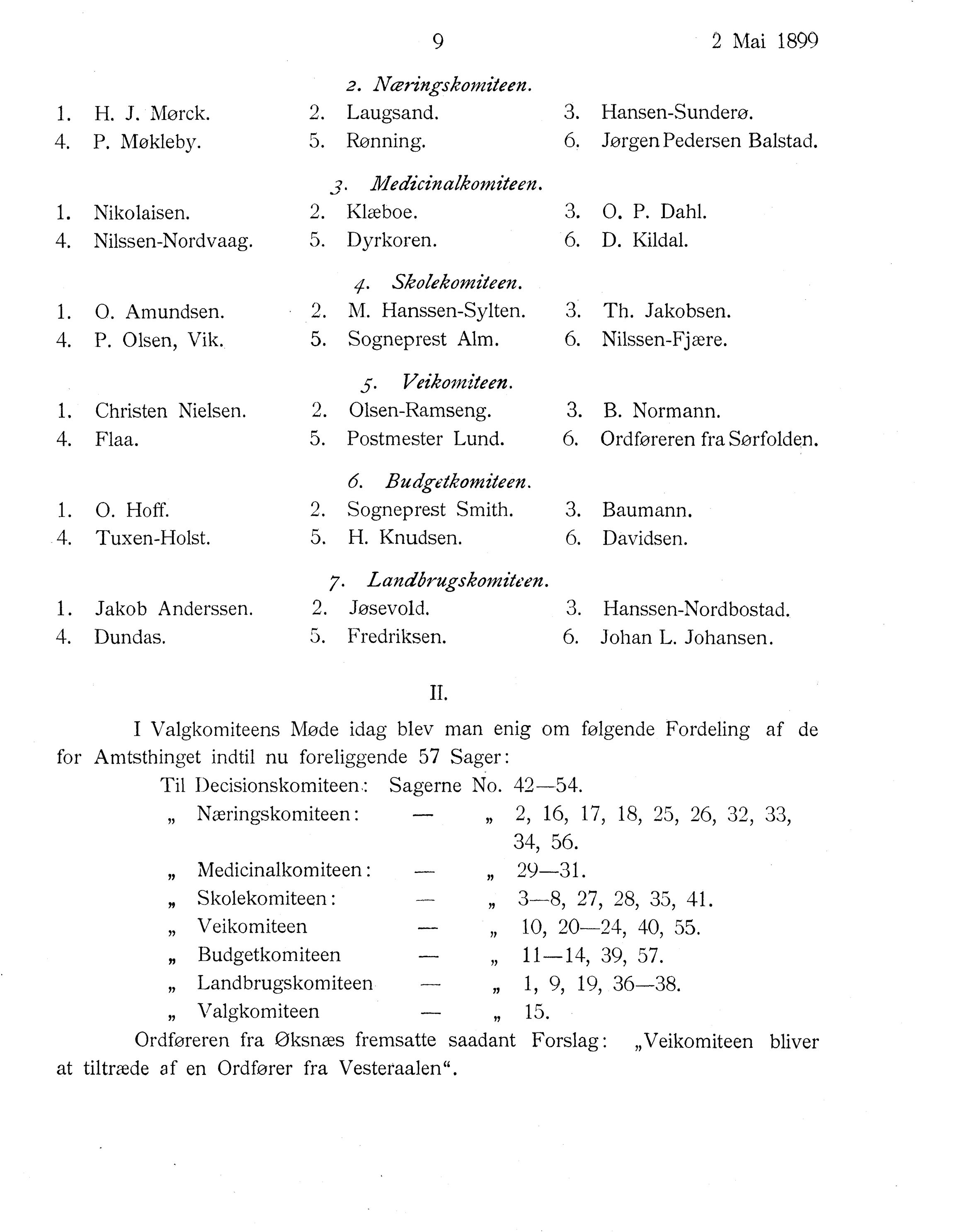 Nordland Fylkeskommune. Fylkestinget, AIN/NFK-17/176/A/Ac/L0022: Fylkestingsforhandlinger 1899, 1899