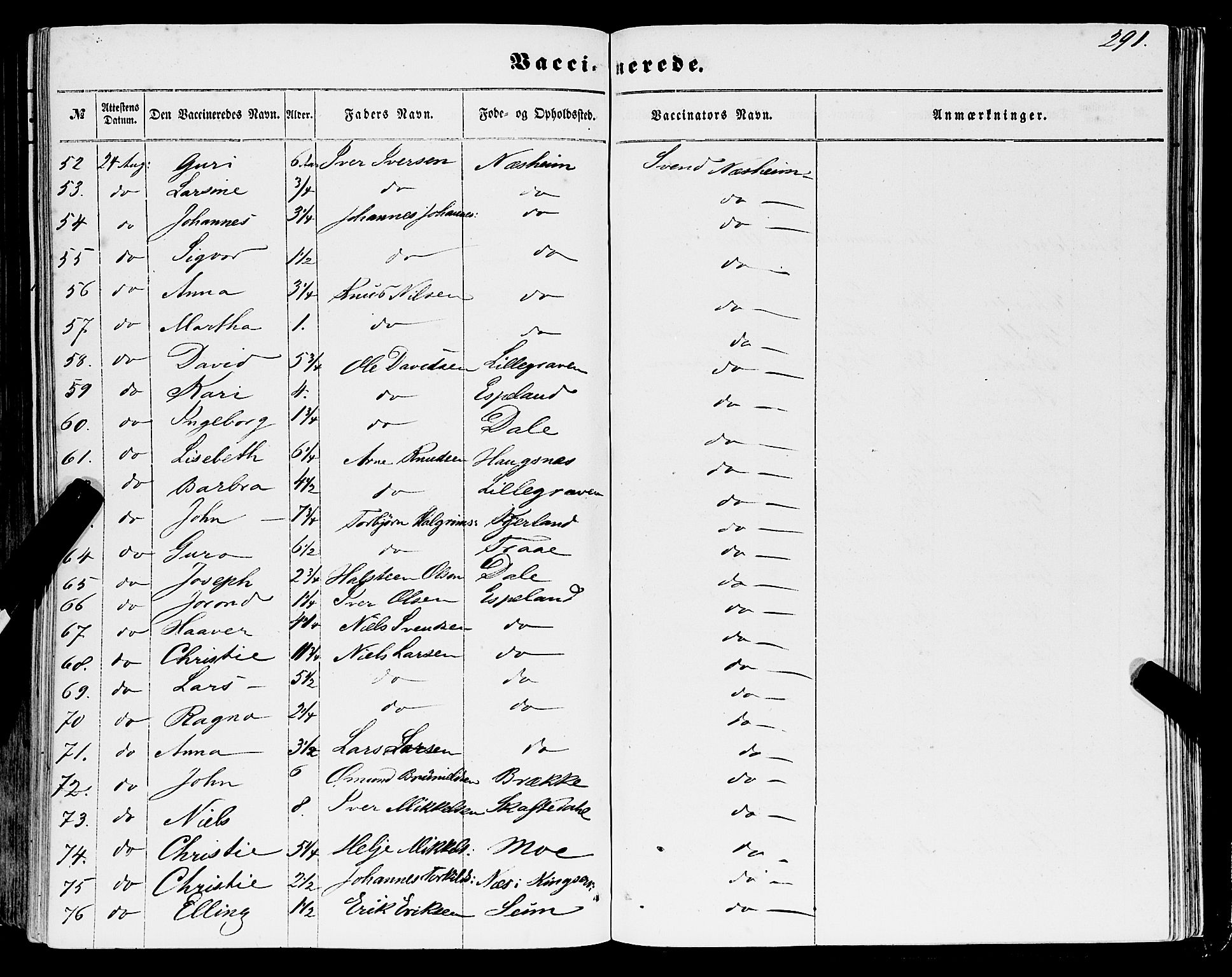 Ulvik sokneprestembete, AV/SAB-A-78801/H/Haa: Ministerialbok nr. A 13, 1853-1863, s. 291