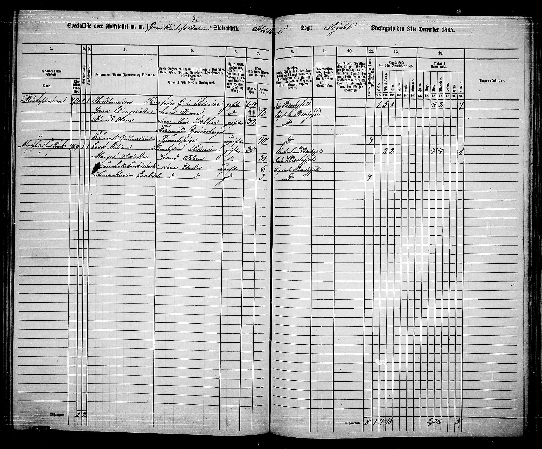 RA, Folketelling 1865 for 0621P Sigdal prestegjeld, 1865, s. 225