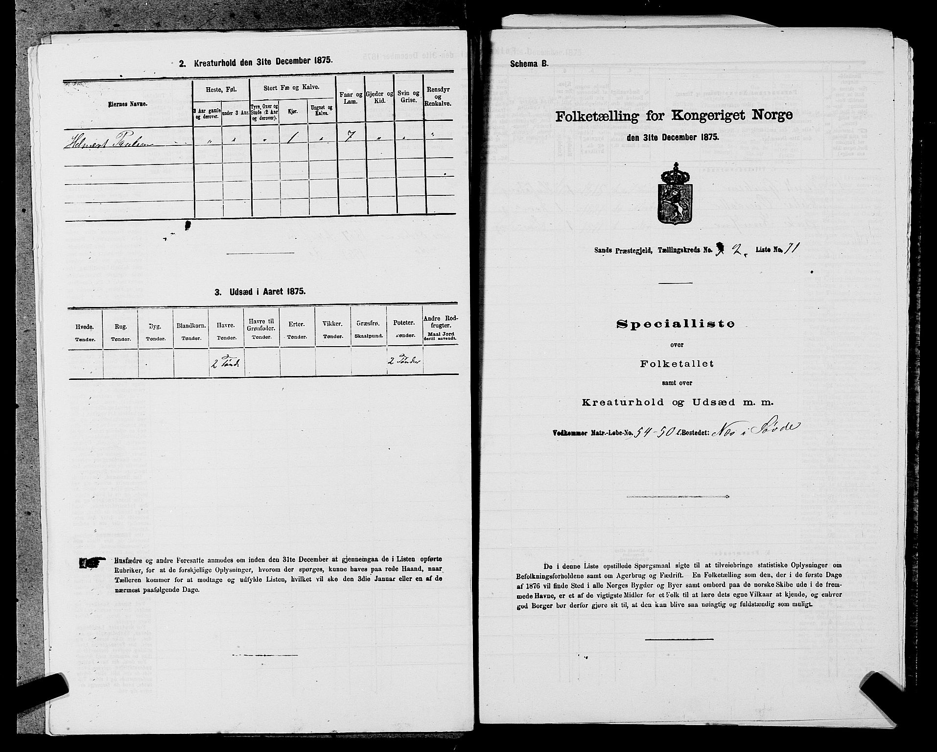 SAST, Folketelling 1875 for 1136P Sand prestegjeld, 1875, s. 991