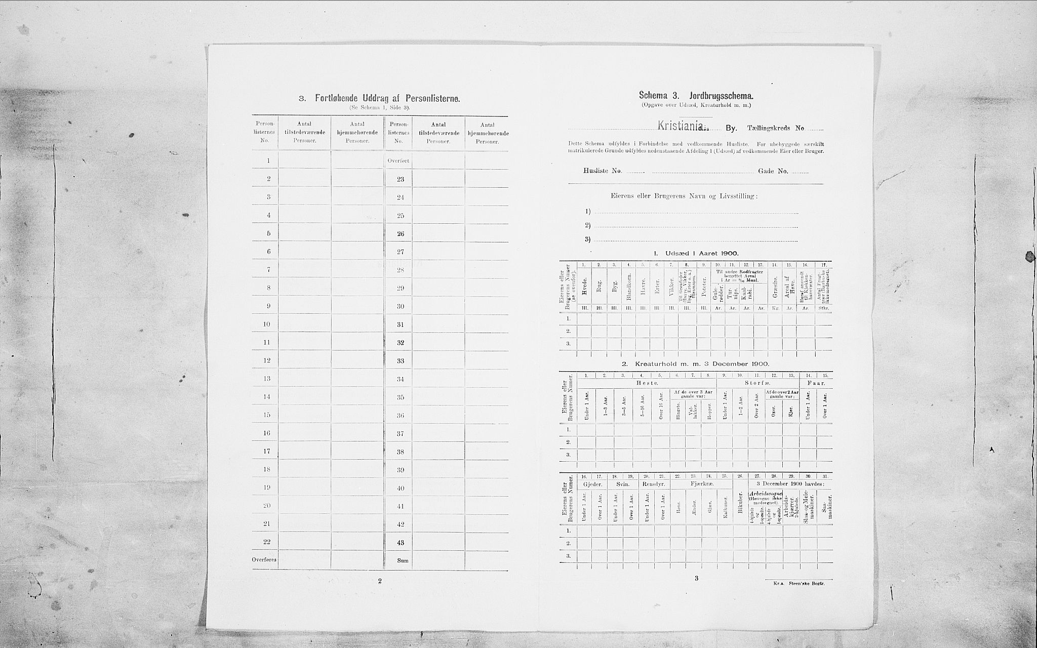 SAO, Folketelling 1900 for 0301 Kristiania kjøpstad, 1900, s. 91029