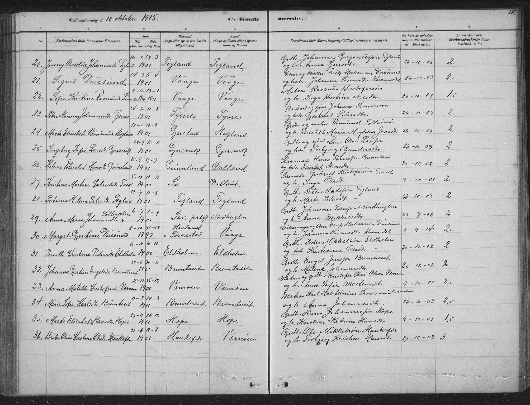 Tysnes sokneprestembete, AV/SAB-A-78601/H/Hab: Klokkerbok nr. B 2, 1878-1918, s. 232
