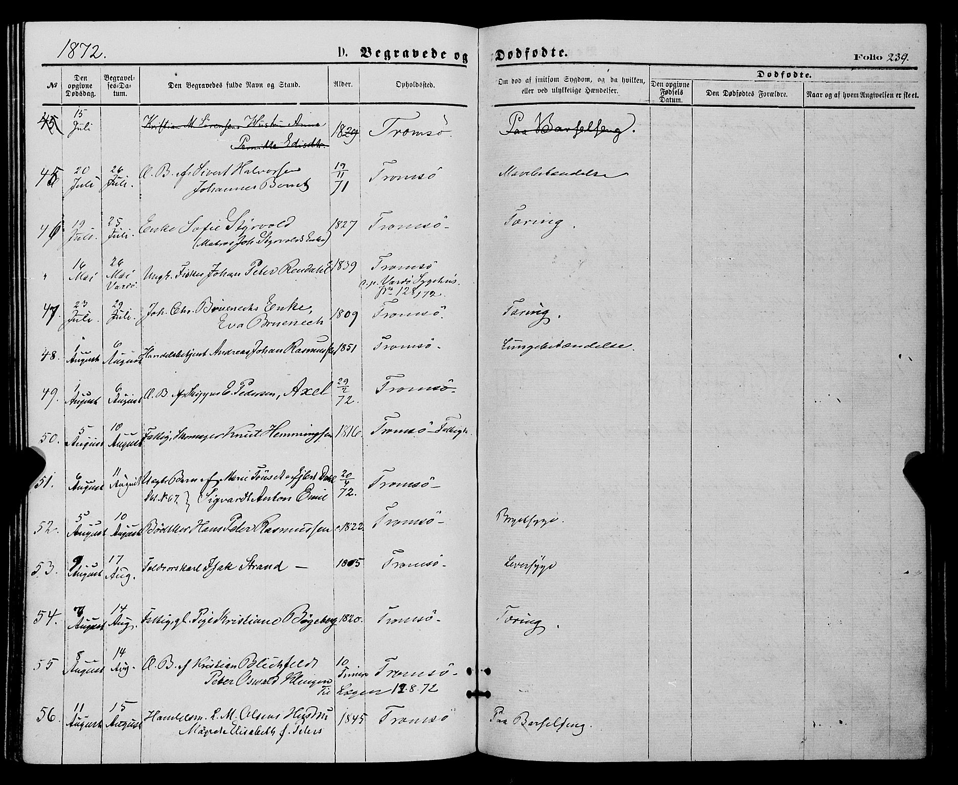 Tromsø sokneprestkontor/stiftsprosti/domprosti, AV/SATØ-S-1343/G/Ga/L0013kirke: Ministerialbok nr. 13, 1872-1877, s. 239