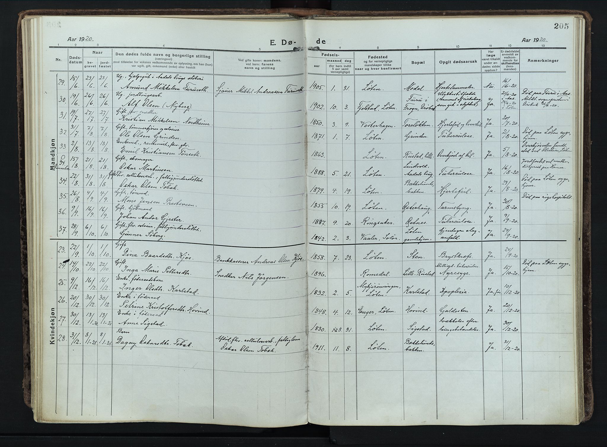 Løten prestekontor, AV/SAH-PREST-022/K/Ka/L0012: Ministerialbok nr. 12, 1918-1926, s. 205