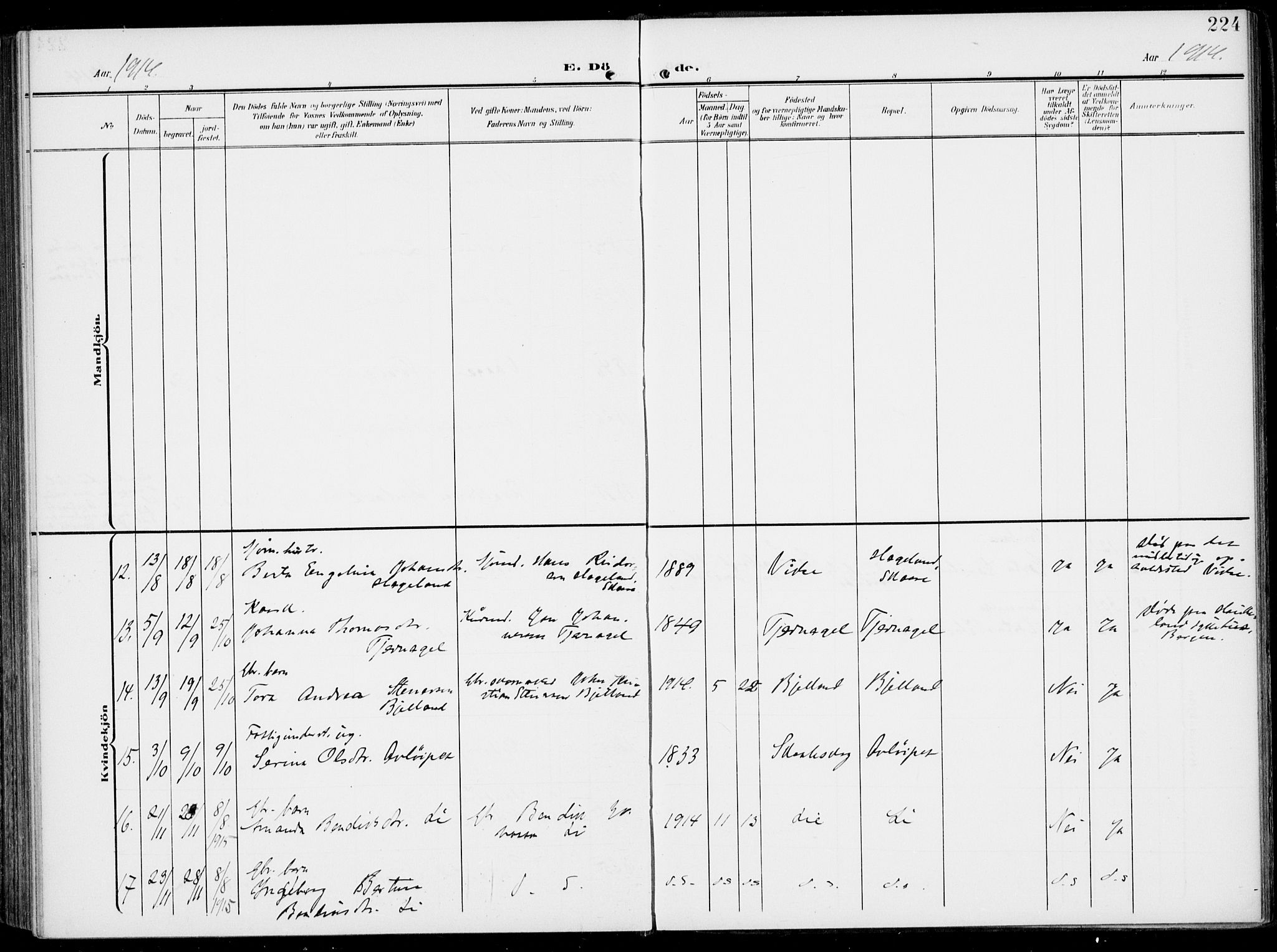 Sveio Sokneprestembete, AV/SAB-A-78501/H/Haa: Ministerialbok nr. B  4, 1906-1919, s. 224