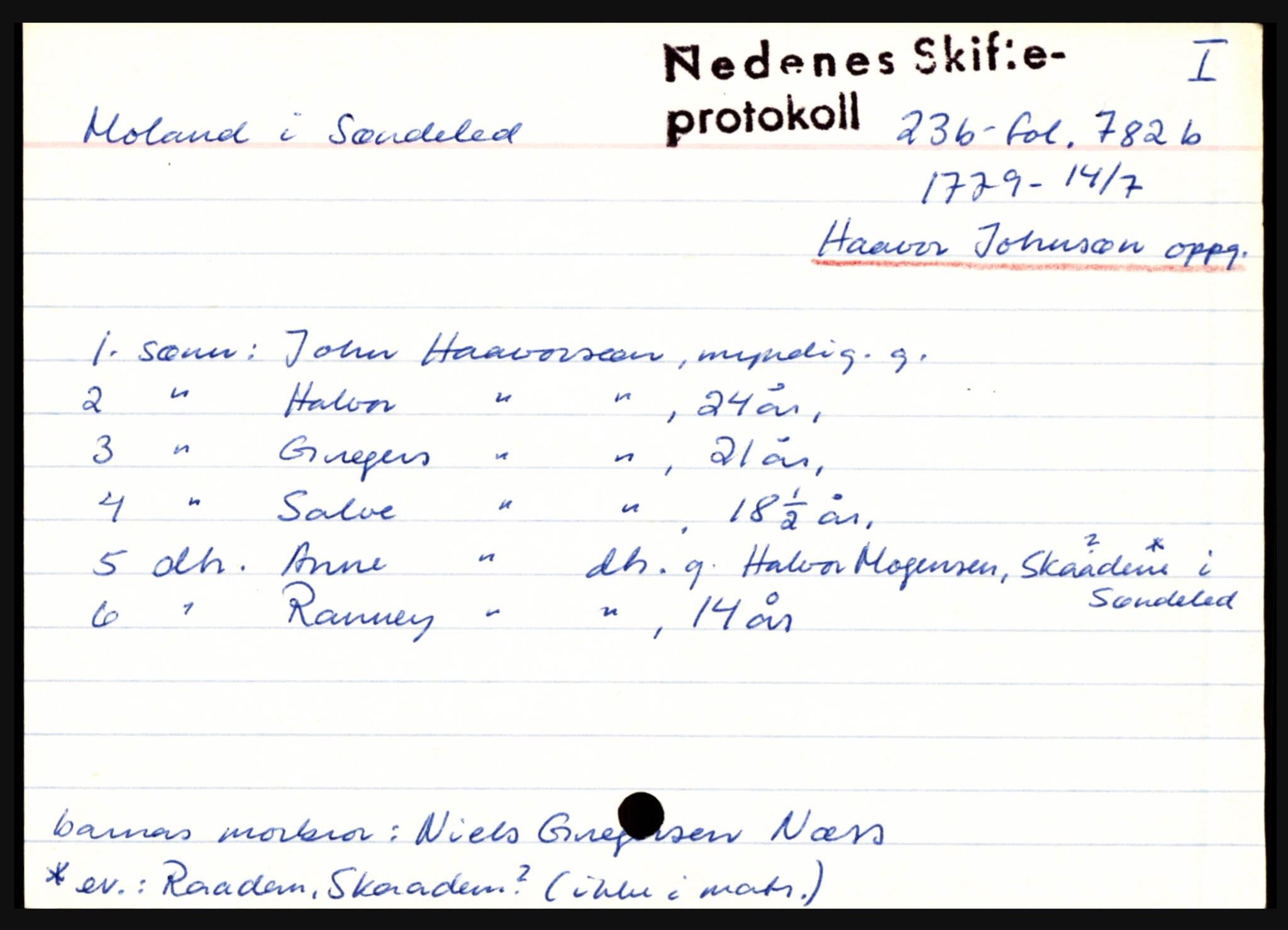 Nedenes sorenskriveri før 1824, AV/SAK-1221-0007/H, s. 20131