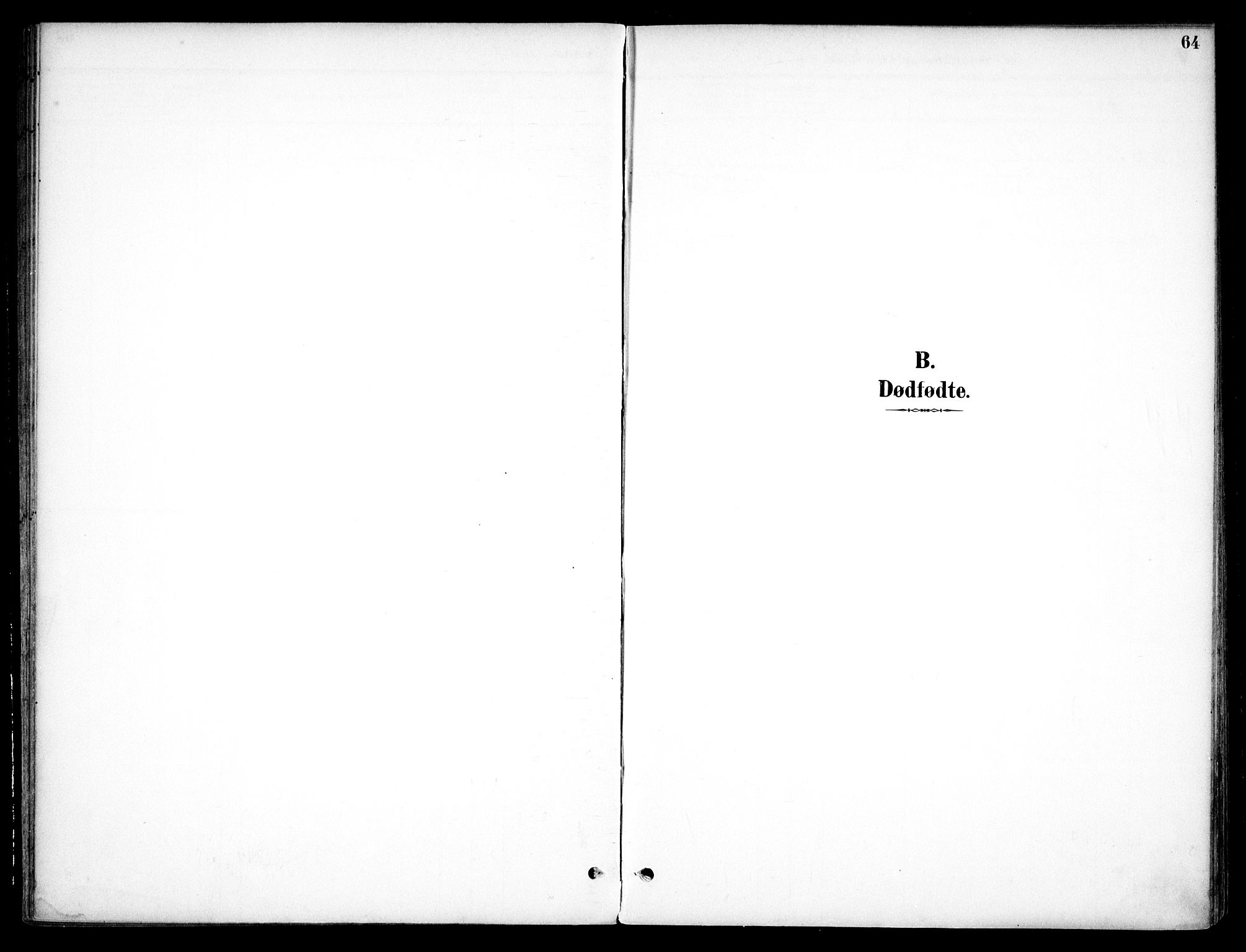 Nannestad prestekontor Kirkebøker, SAO/A-10414a/F/Fc/L0002: Ministerialbok nr. III 2, 1893-1907, s. 64