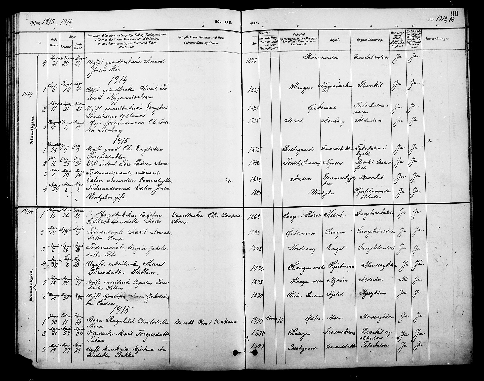 Tolga prestekontor, AV/SAH-PREST-062/L/L0010: Klokkerbok nr. 10, 1894-1918, s. 99