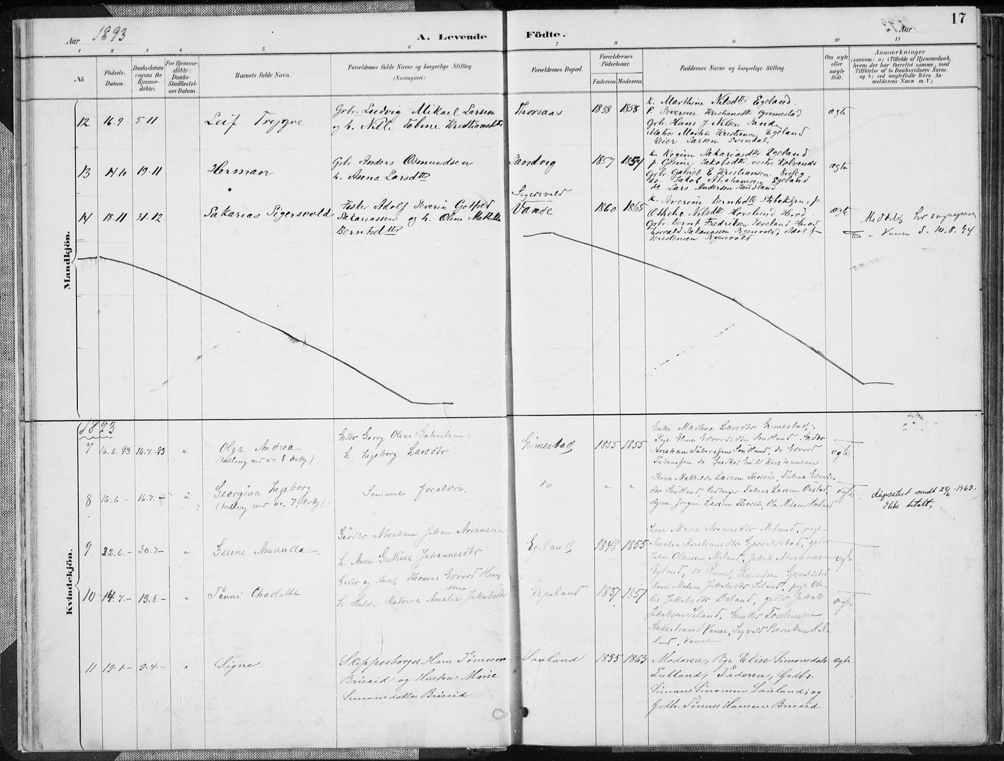 Herad sokneprestkontor, AV/SAK-1111-0018/F/Fa/Faa/L0006: Ministerialbok nr. A 6, 1887-1907, s. 17