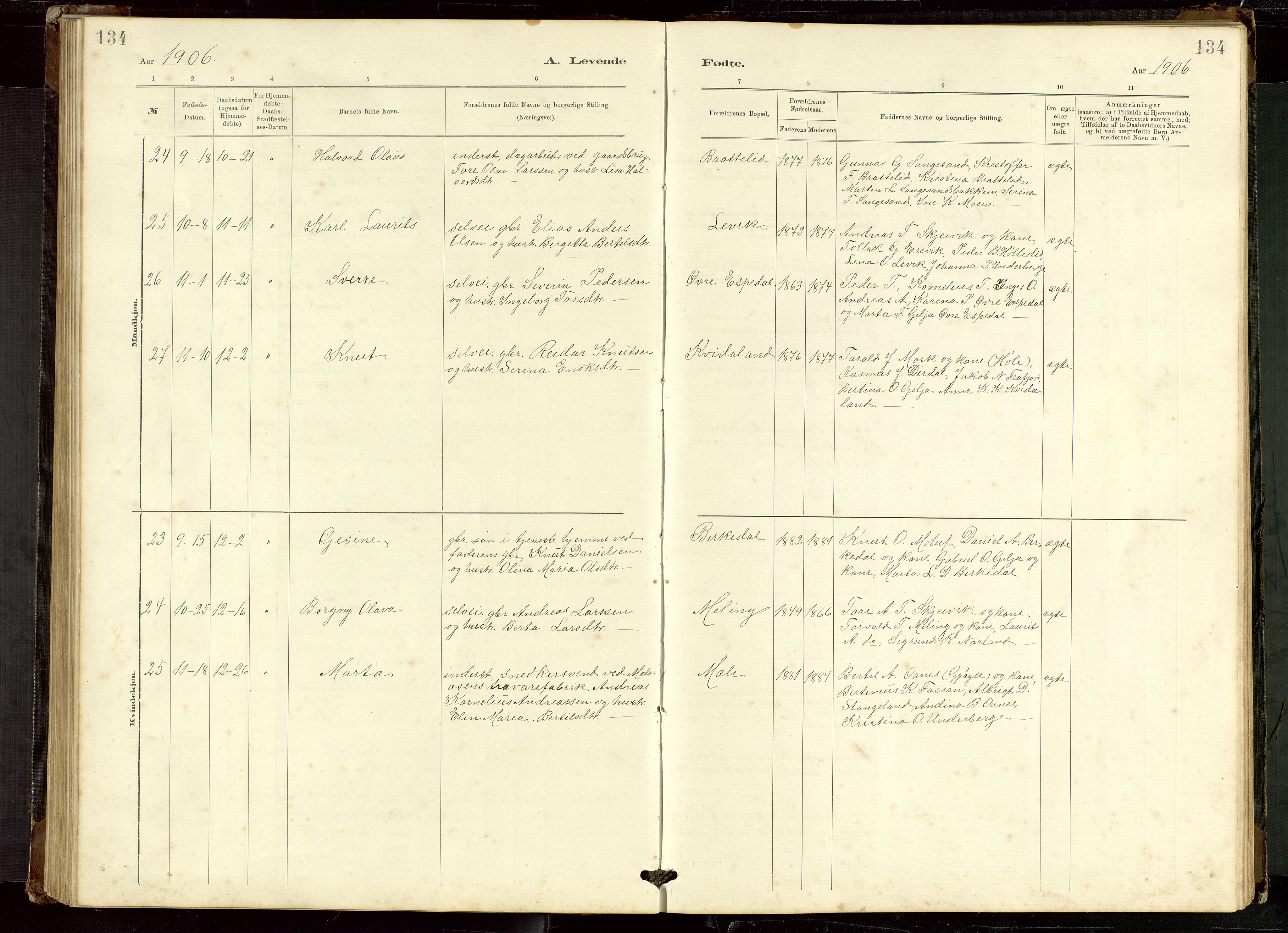 Høgsfjord sokneprestkontor, AV/SAST-A-101624/H/Ha/Hab/L0009: Klokkerbok nr. B 9, 1883-1920, s. 134