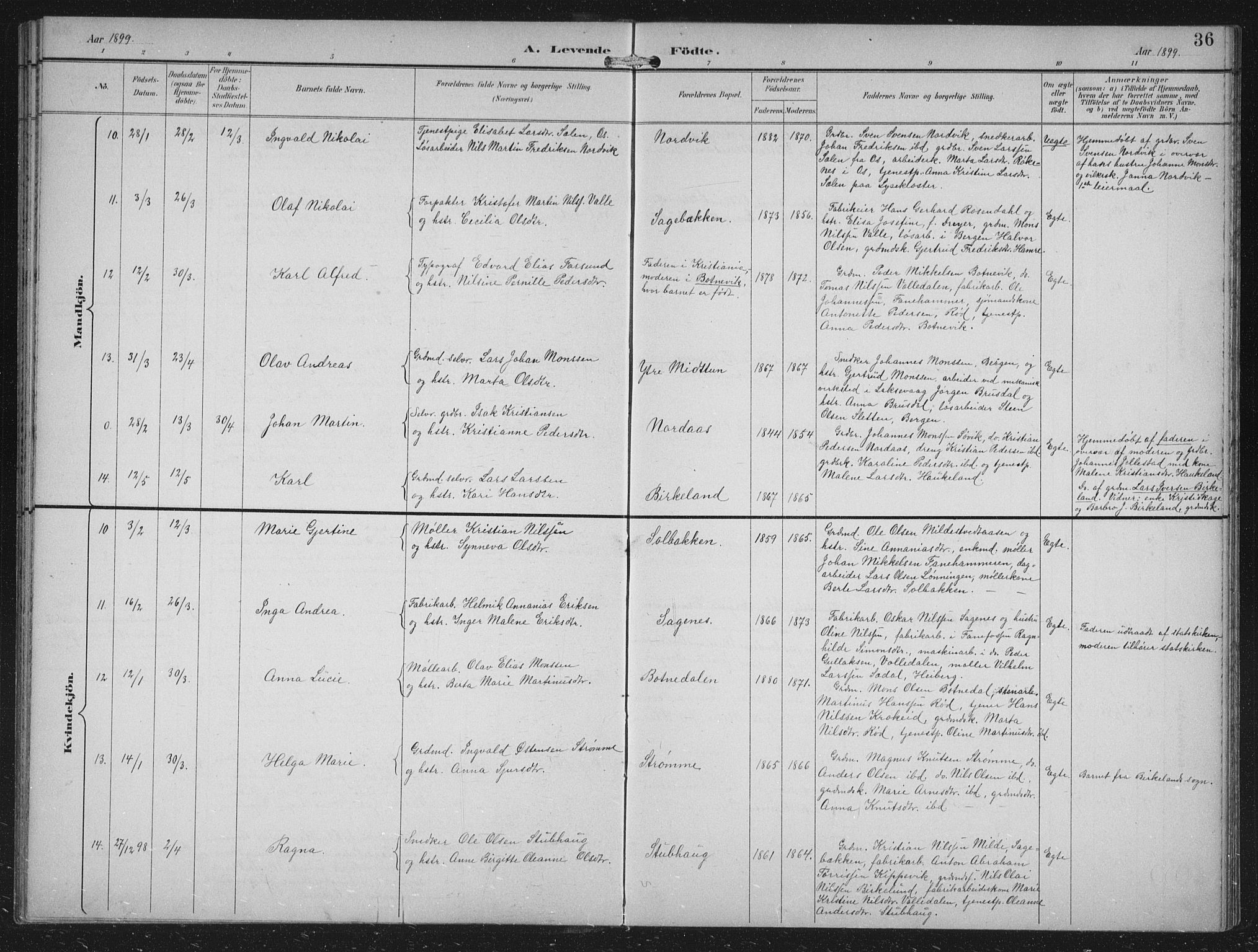 Fana Sokneprestembete, AV/SAB-A-75101/H/Hab/Haba/L0003: Klokkerbok nr. A 3, 1895-1902, s. 36