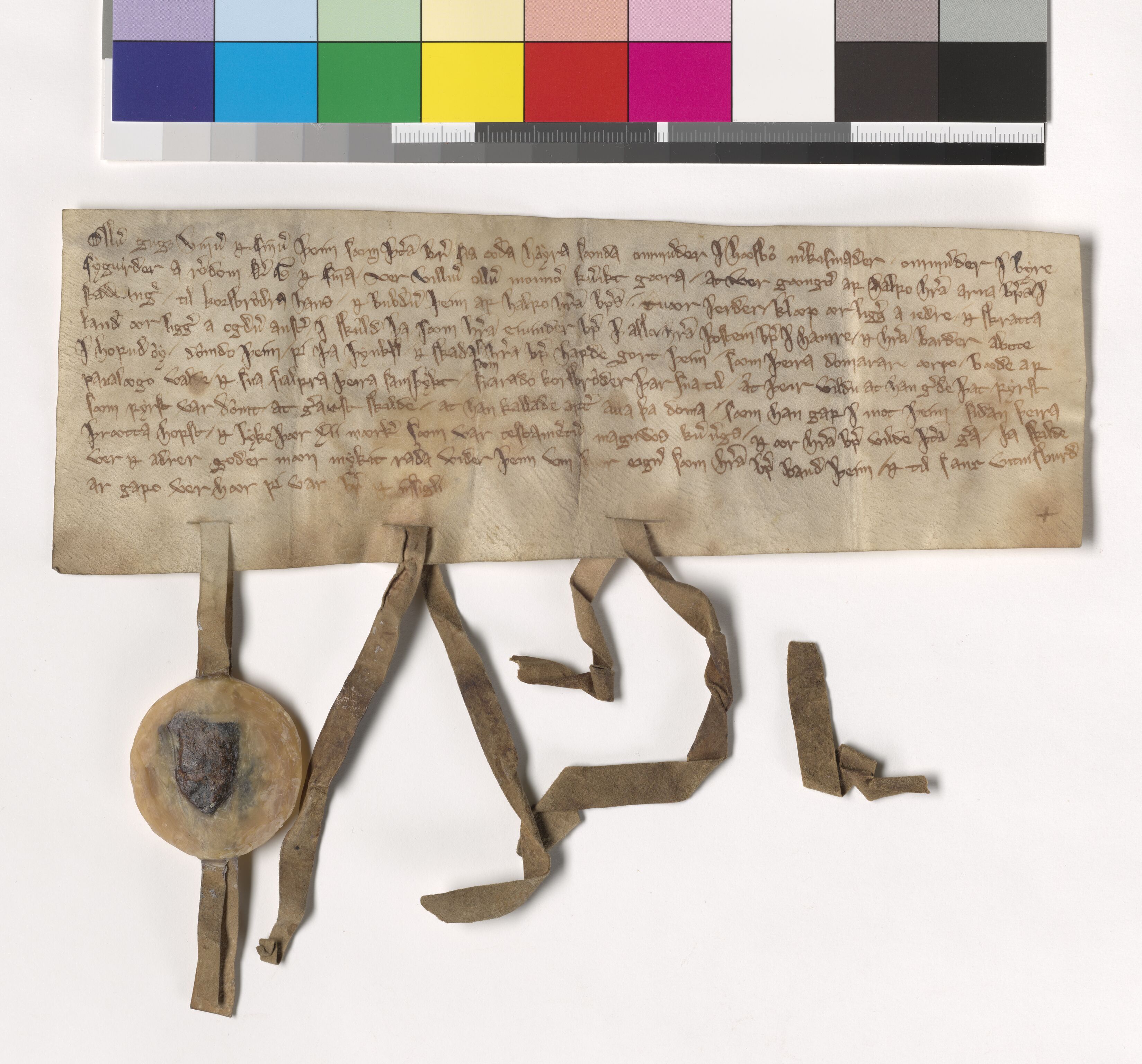 Riksarkivets diplomsamling, AV/RA-EA-5965/F05/L0078: NRA AM fasc. 27 nr. 1a-7, 1292-1299, s. 10